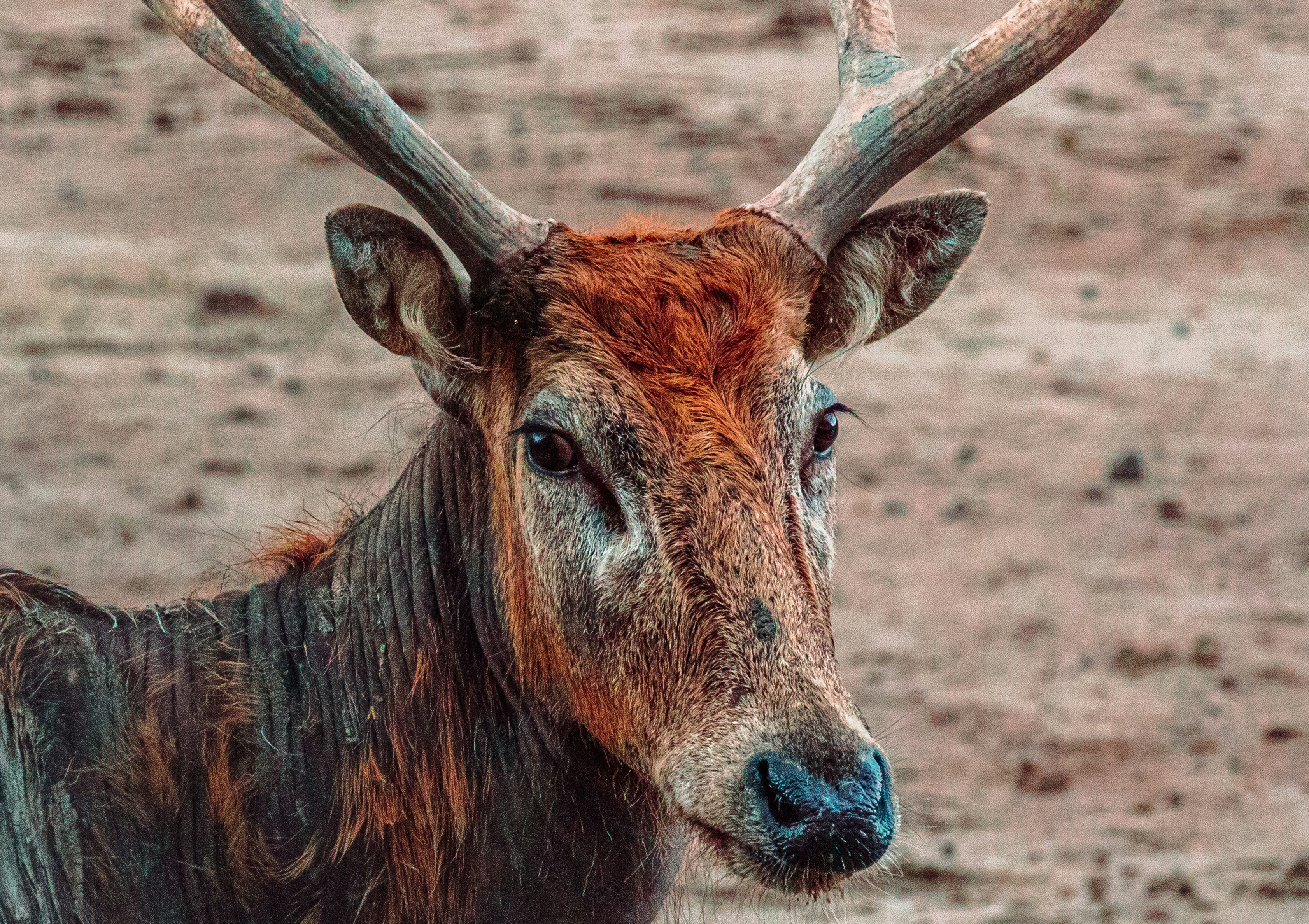 Photo by jl_darren25