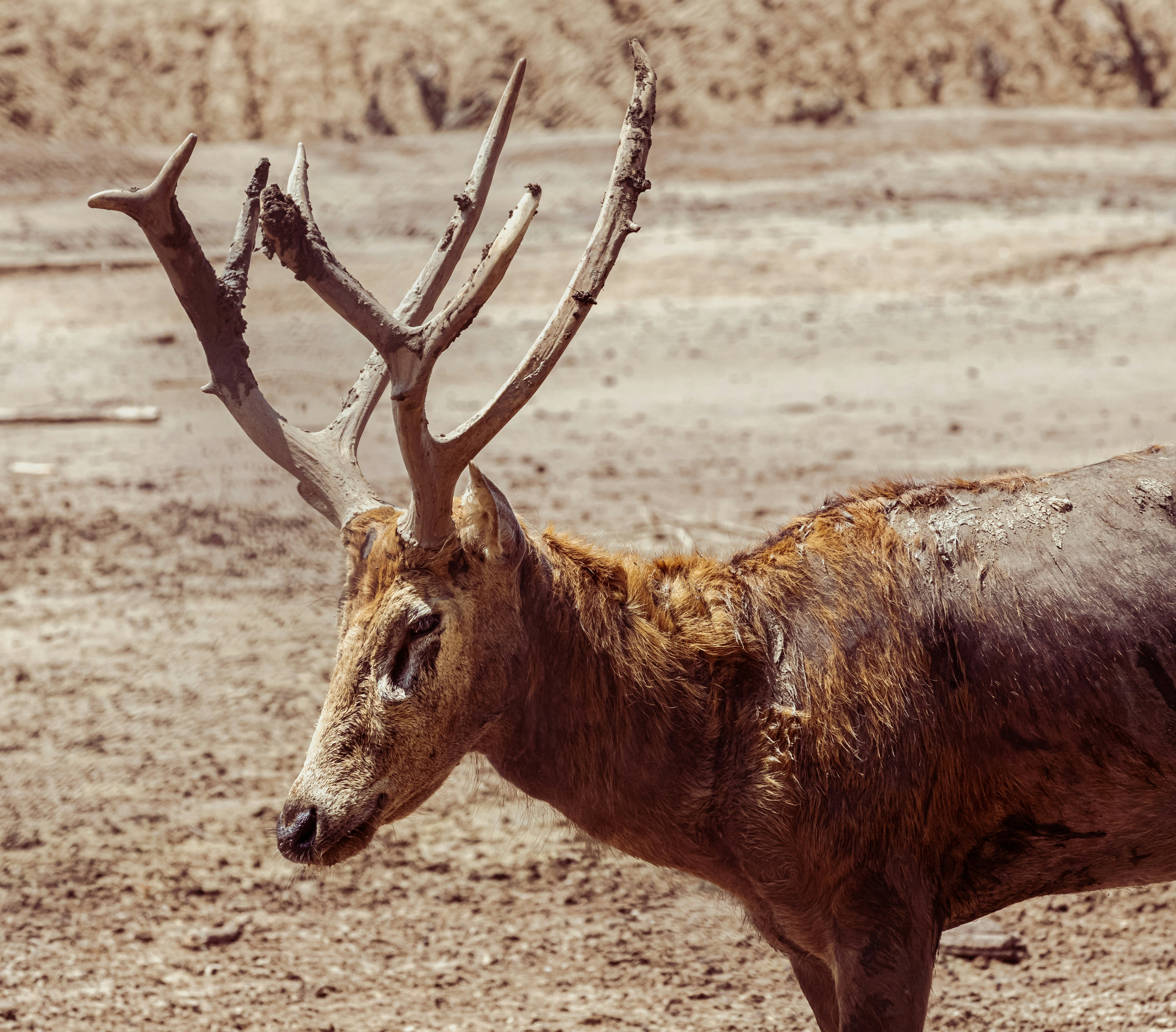 Photo by jl_darren25