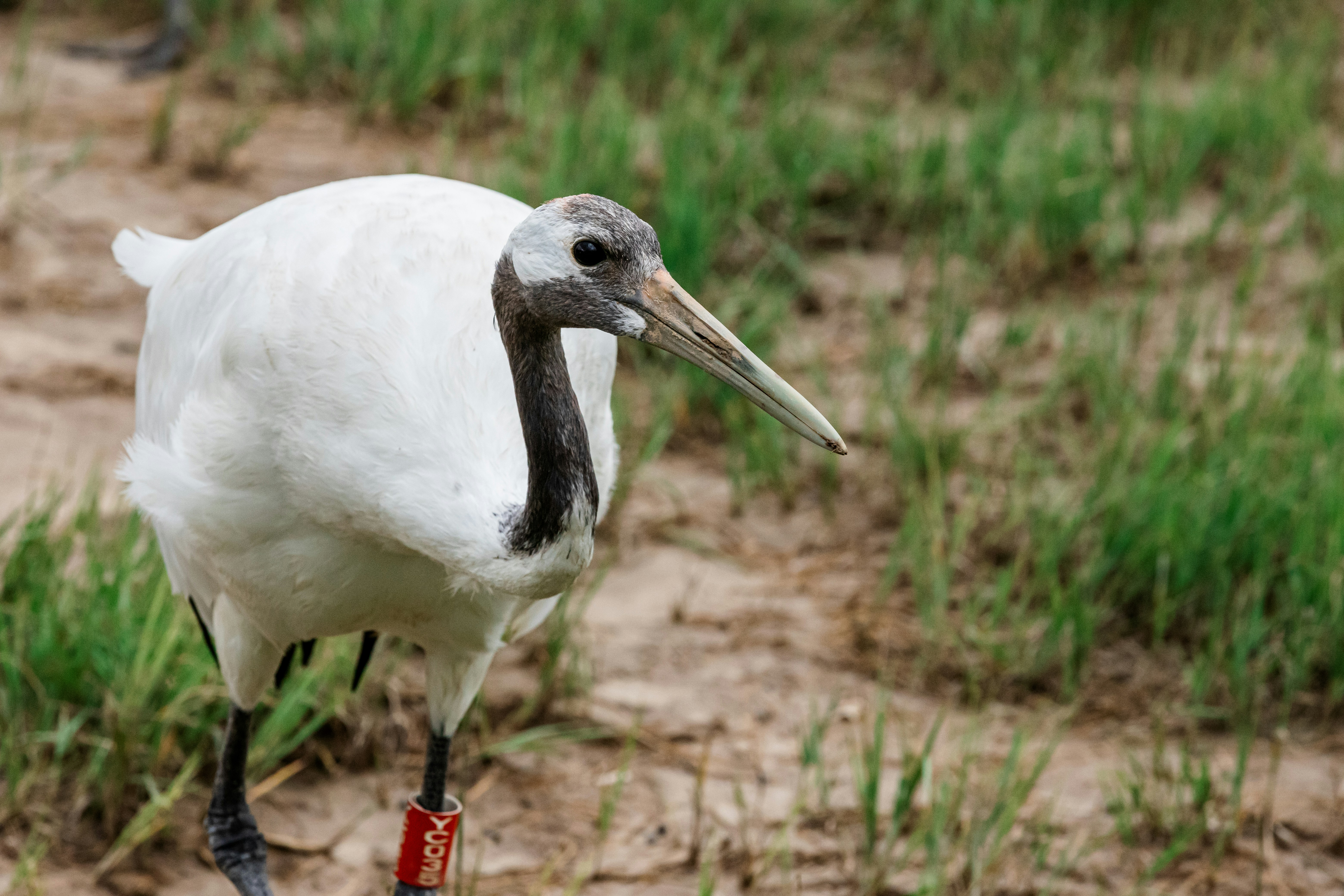 Photo by jl_darren25