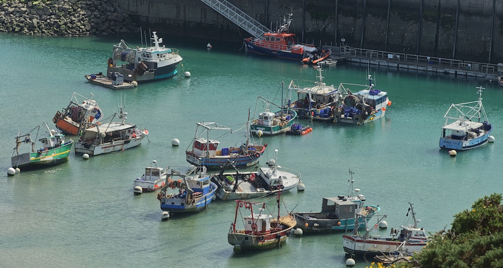 a group of boats in a harbor