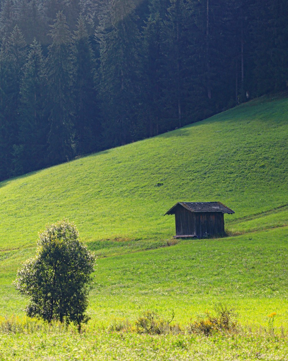 une petite cabane sur une colline herbeuse