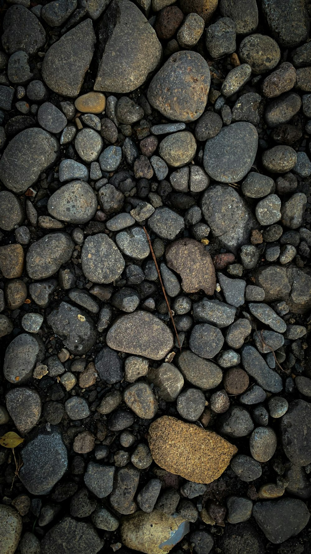 Un grupo de rocas