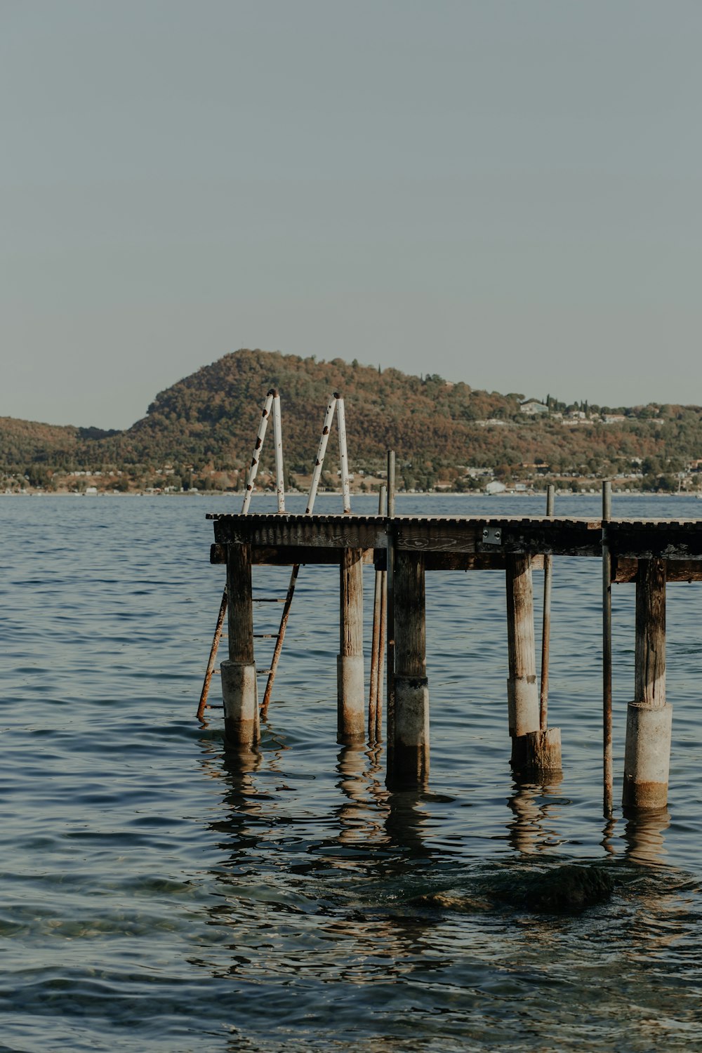 a dock with a group of poles in the water
