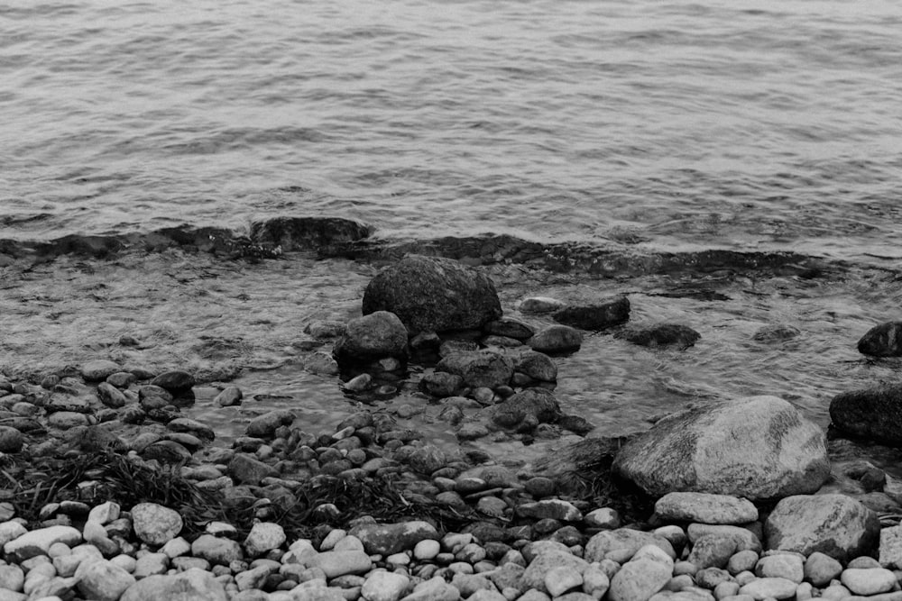 Ein felsiger Strand mit Wasser im Hintergrund