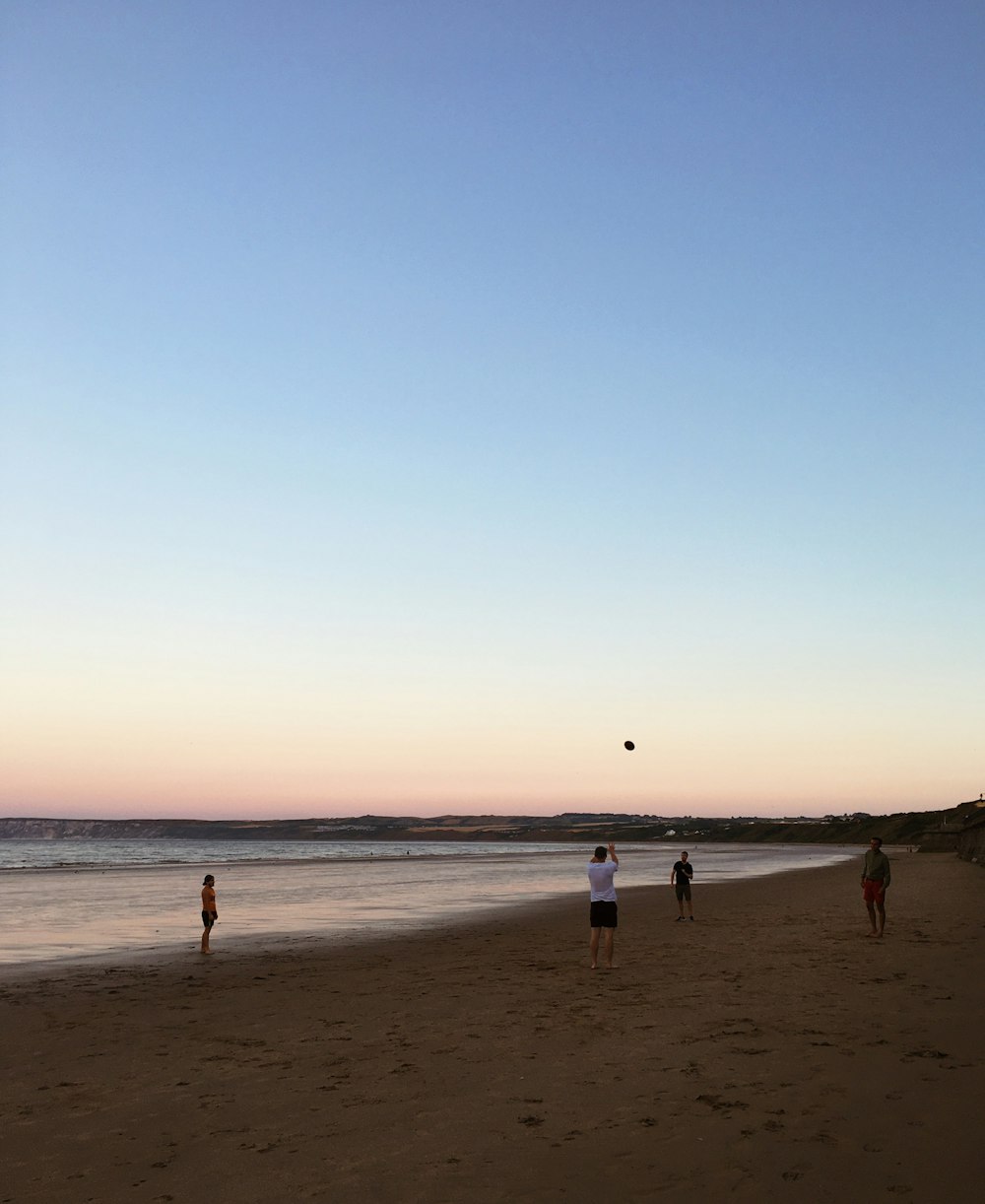 people on a beach