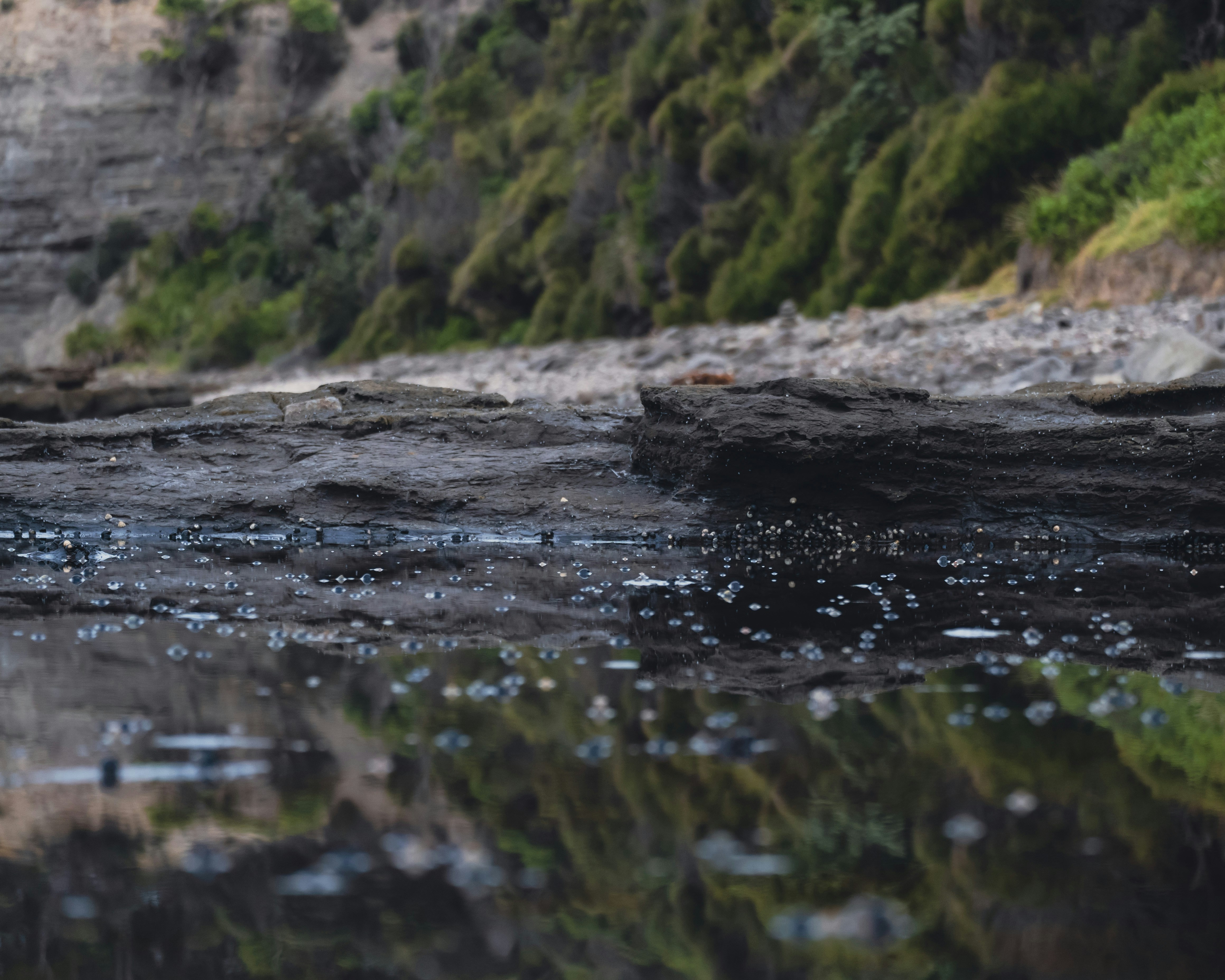 a river with rocks and trees
