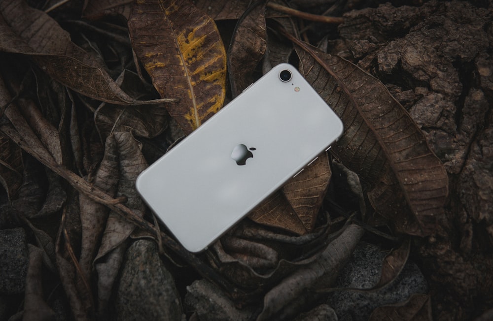 a white cell phone on a tree