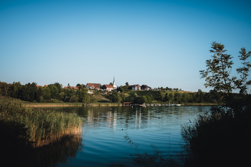 a body of water with trees and buildings in the background