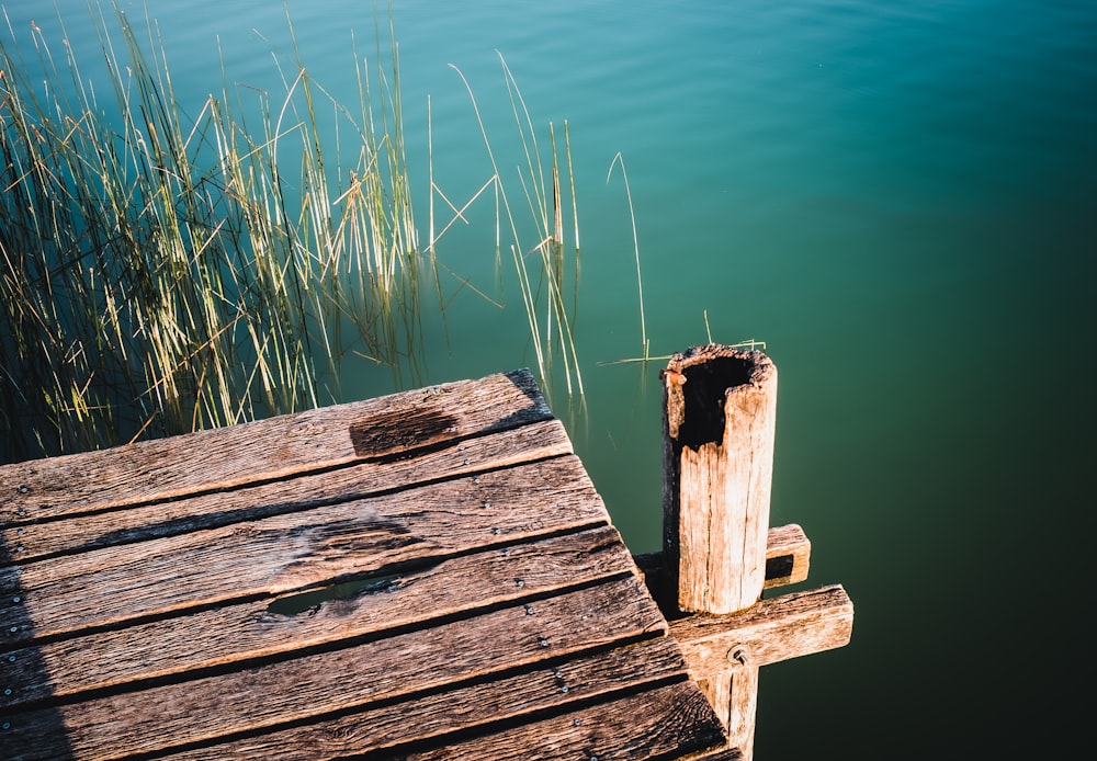 a wooden dock with grass growing on it