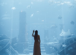 a person looking at fish in a tank