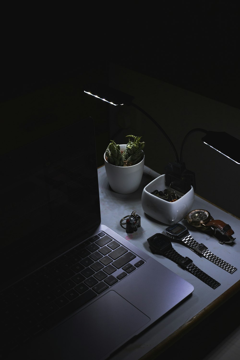 a laptop with a plant on the side