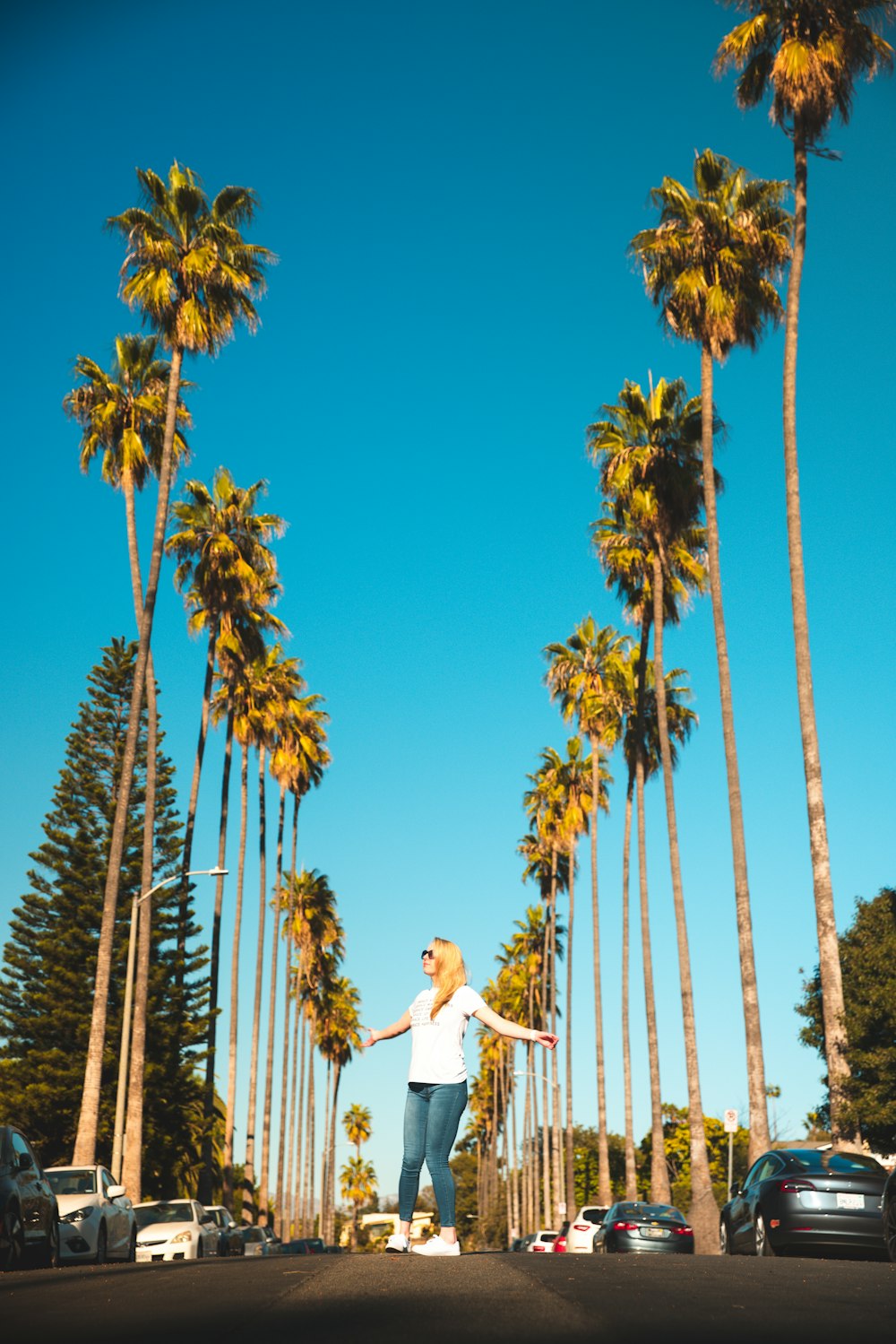 a person standing between palm trees