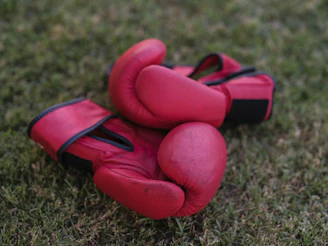 a pair of red boxing gloves