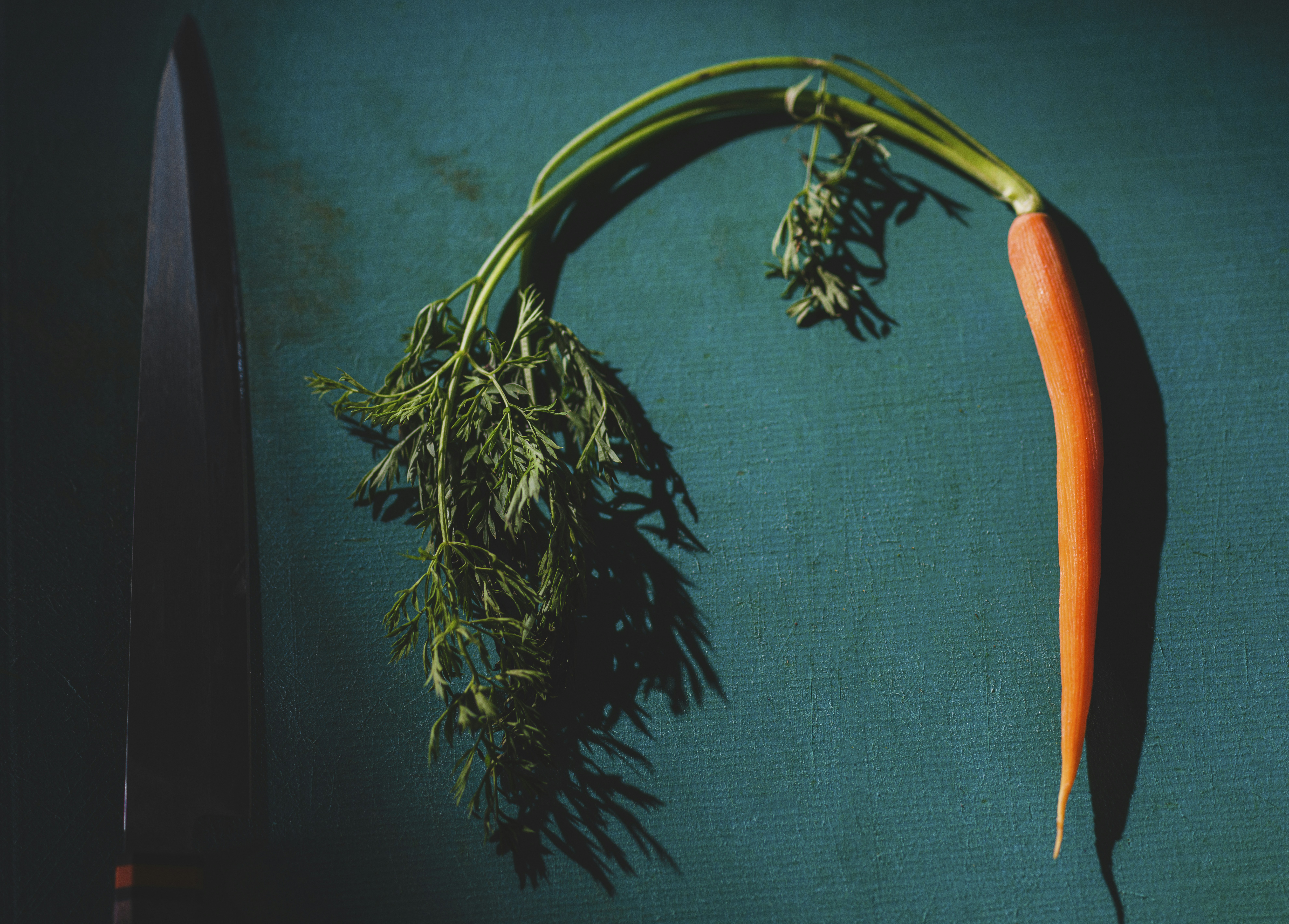 Photo by enginakyurt