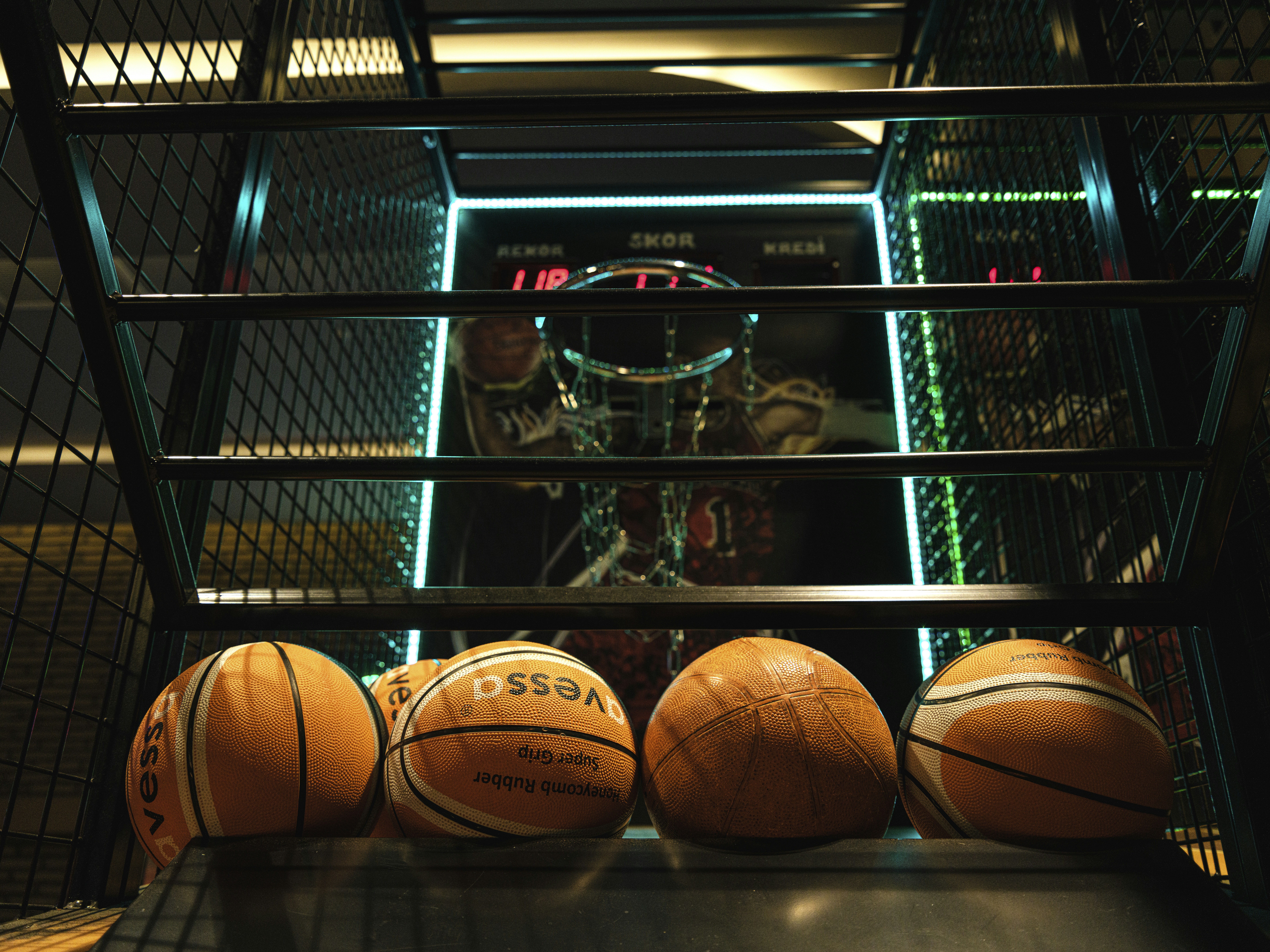 a group of oranges in a cage