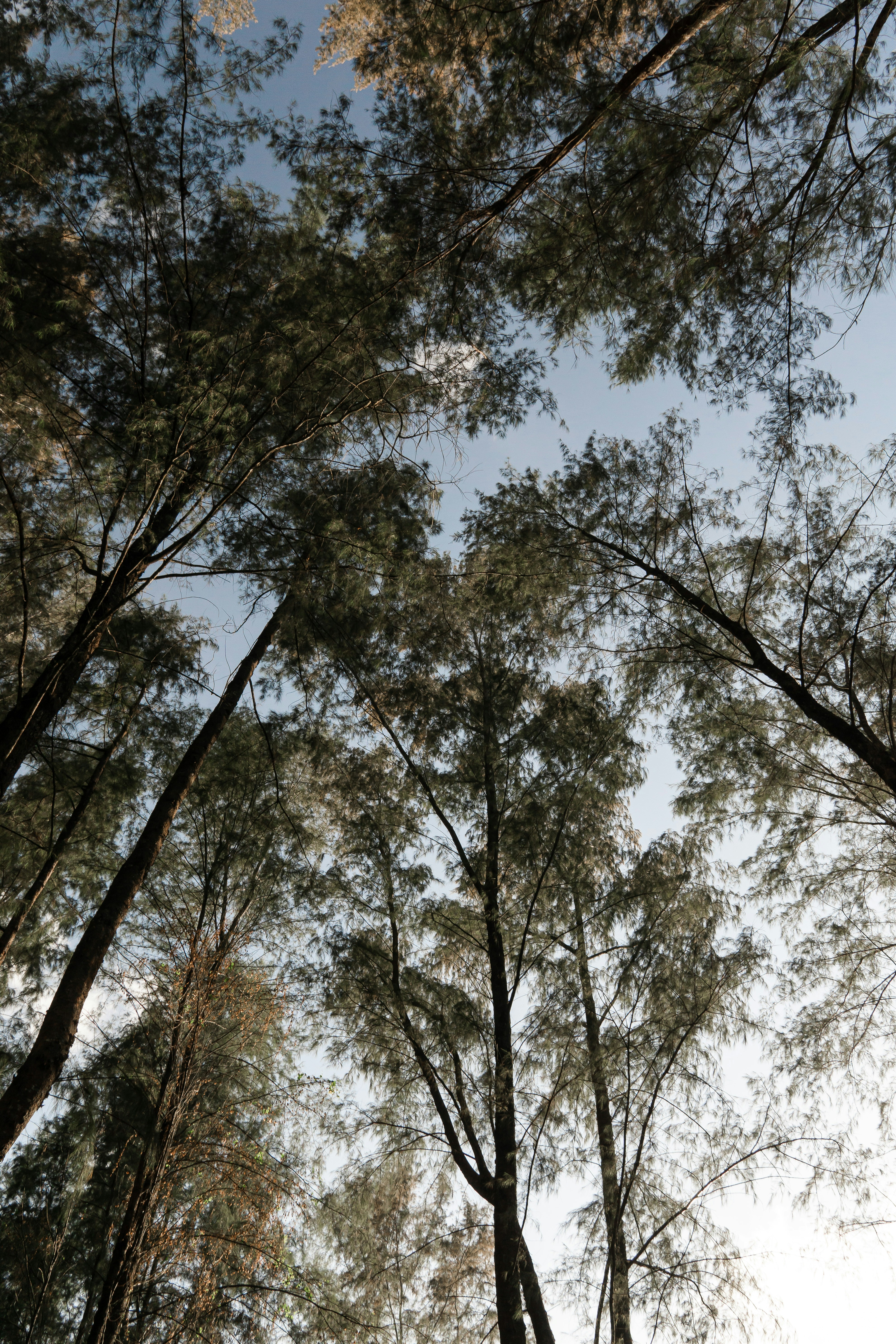 Photo by theeatenone