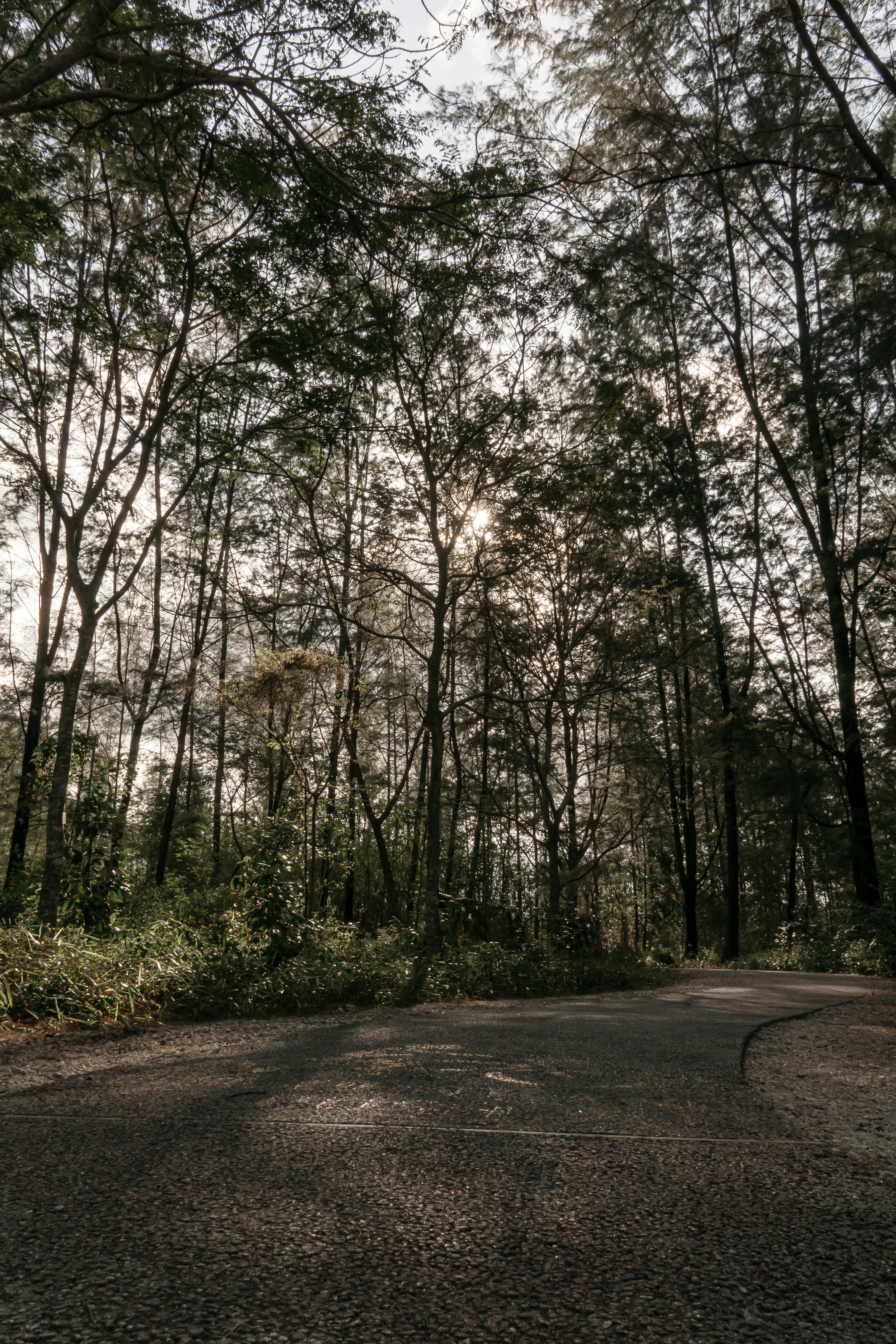 Photo by theeatenone