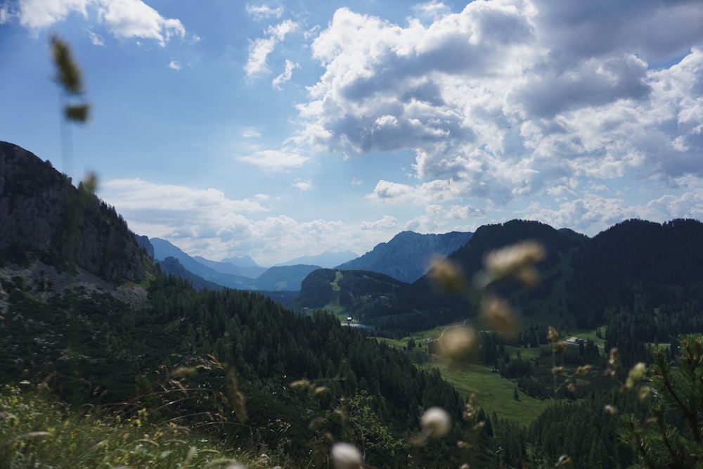 a landscape with mountains and trees