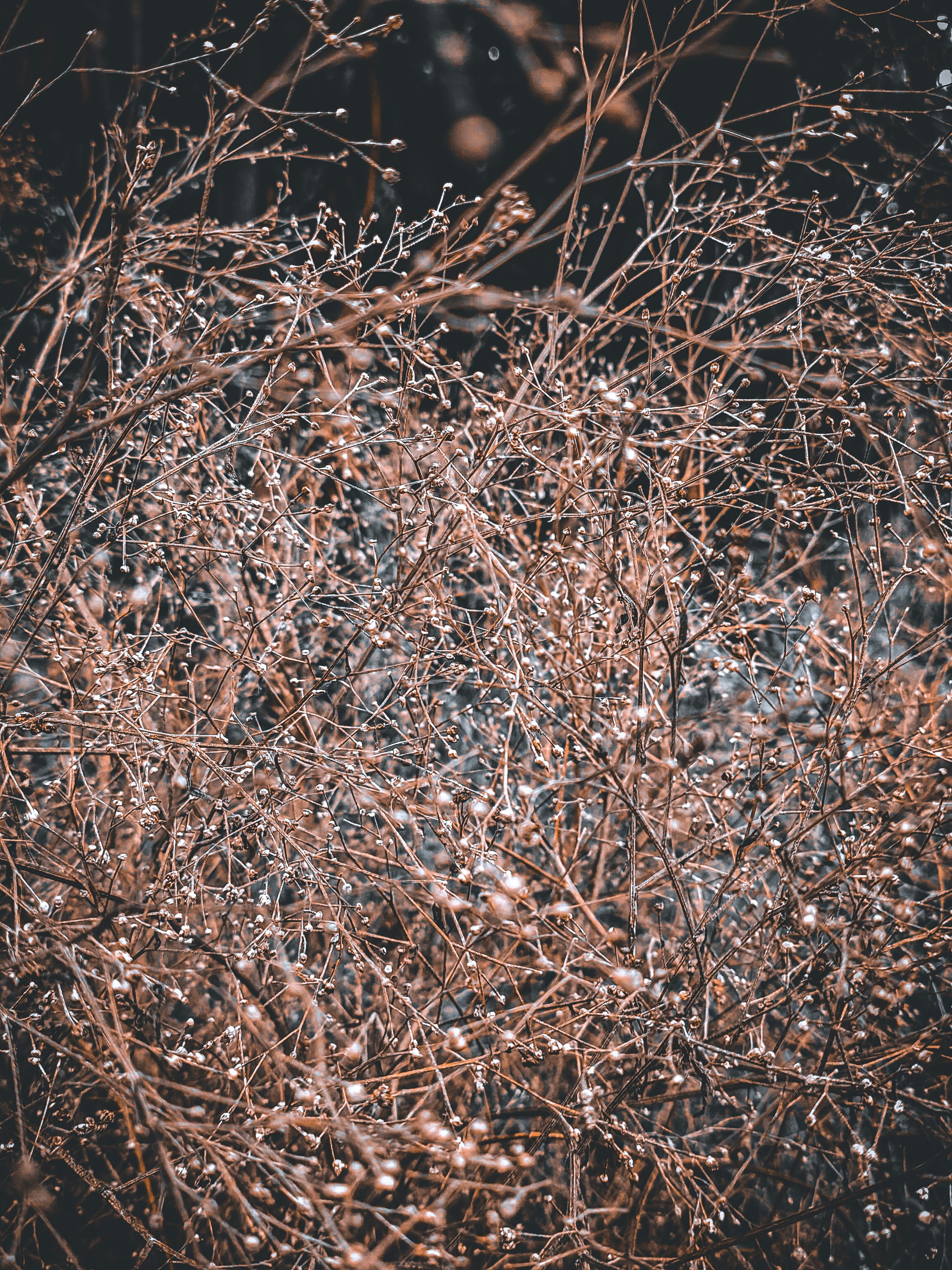 Photo by mubinurrahmanmrp