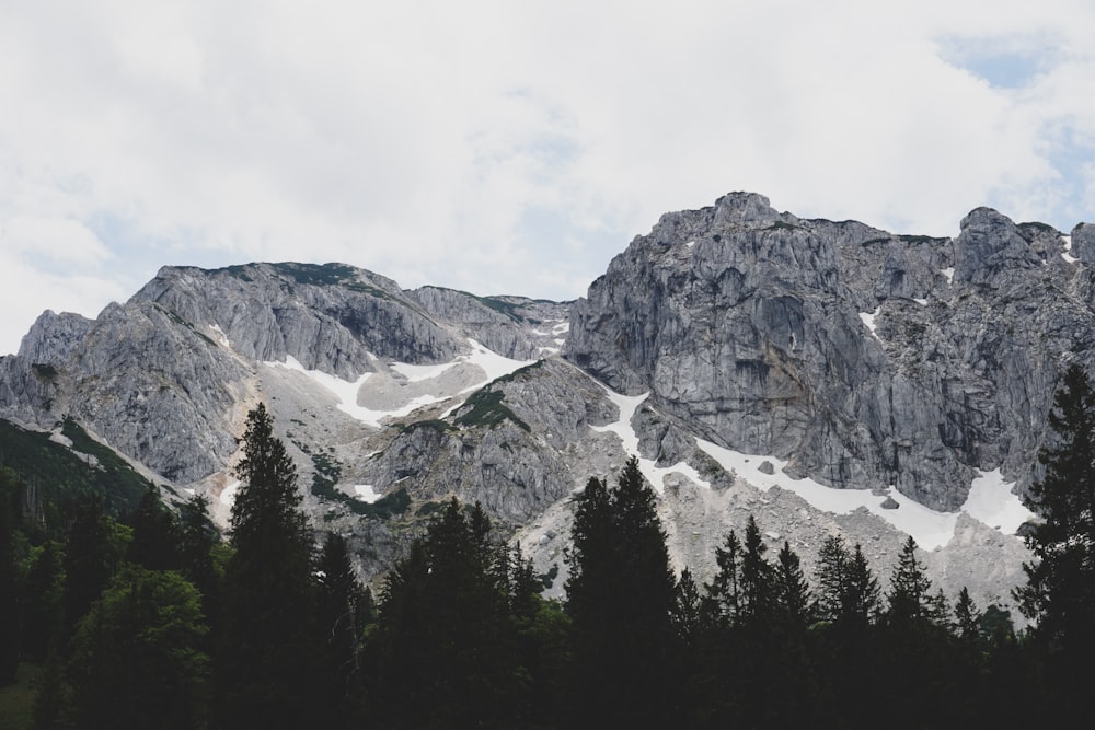 a snowy mountain with trees