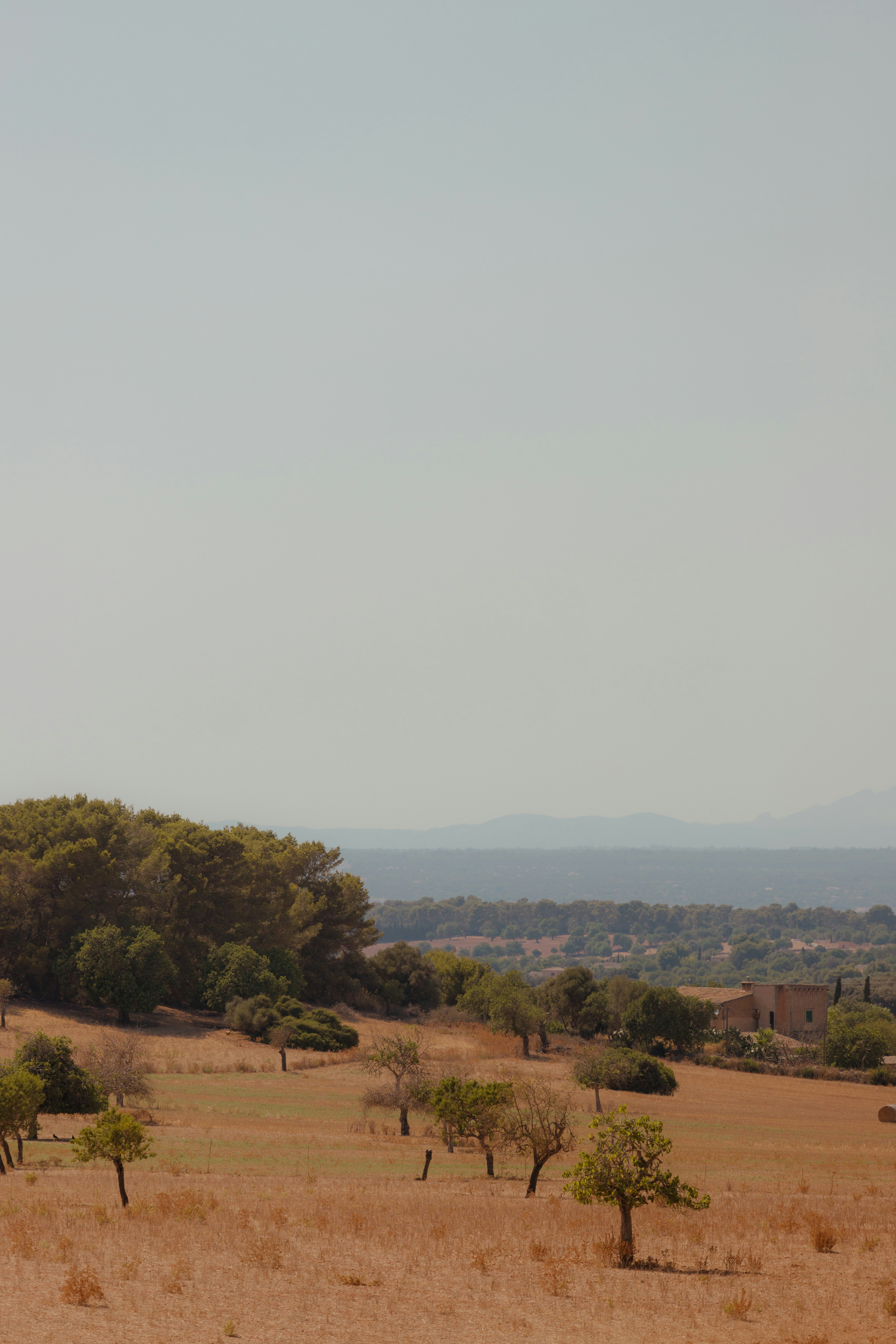 Photo by karlhornfeldt