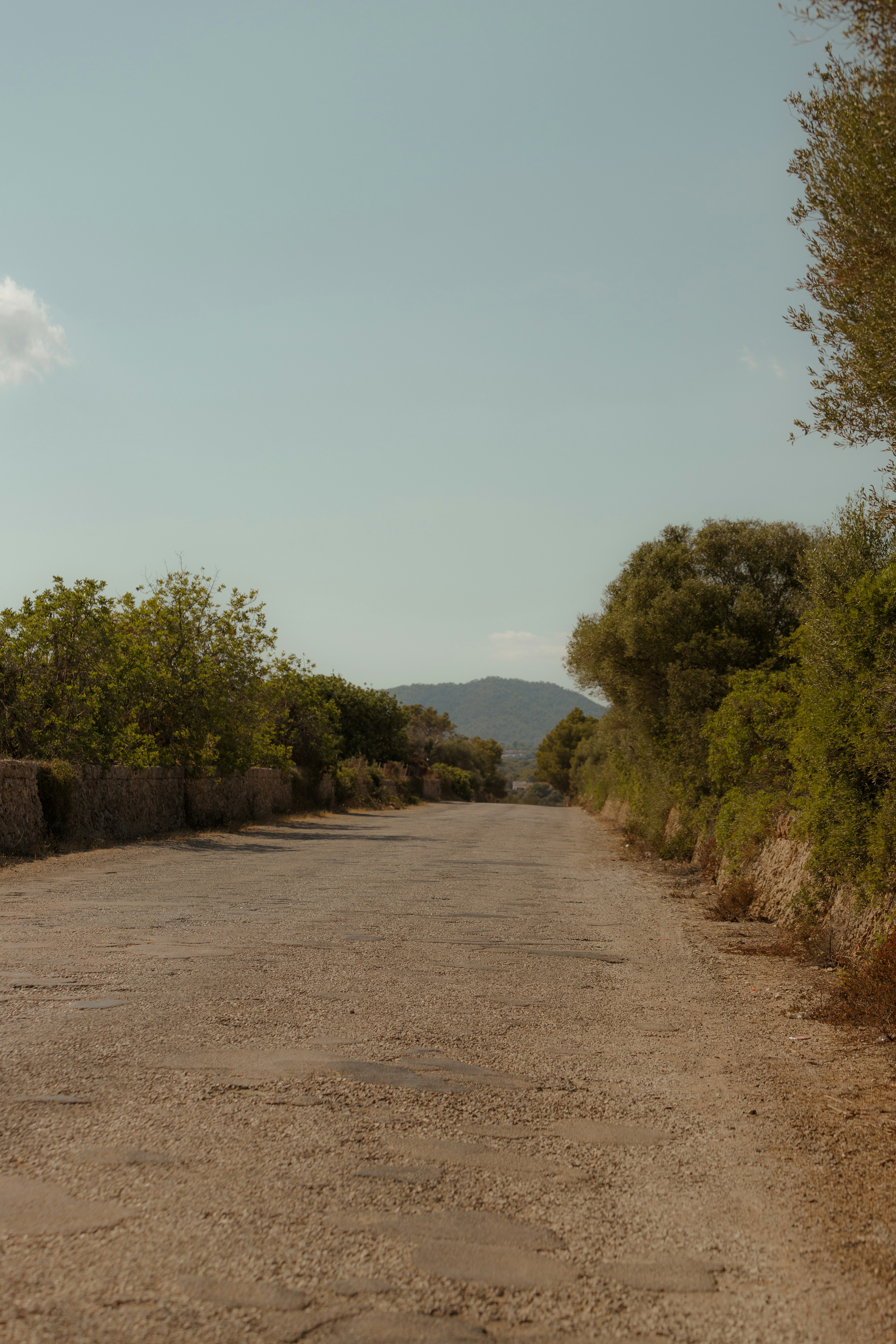 Photo by karlhornfeldt