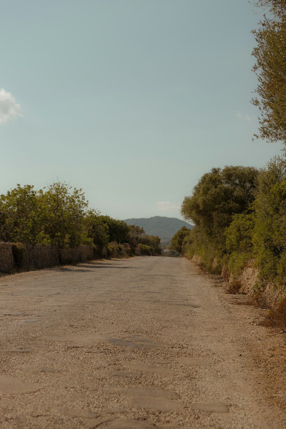 a dirt road with trees on either side of it