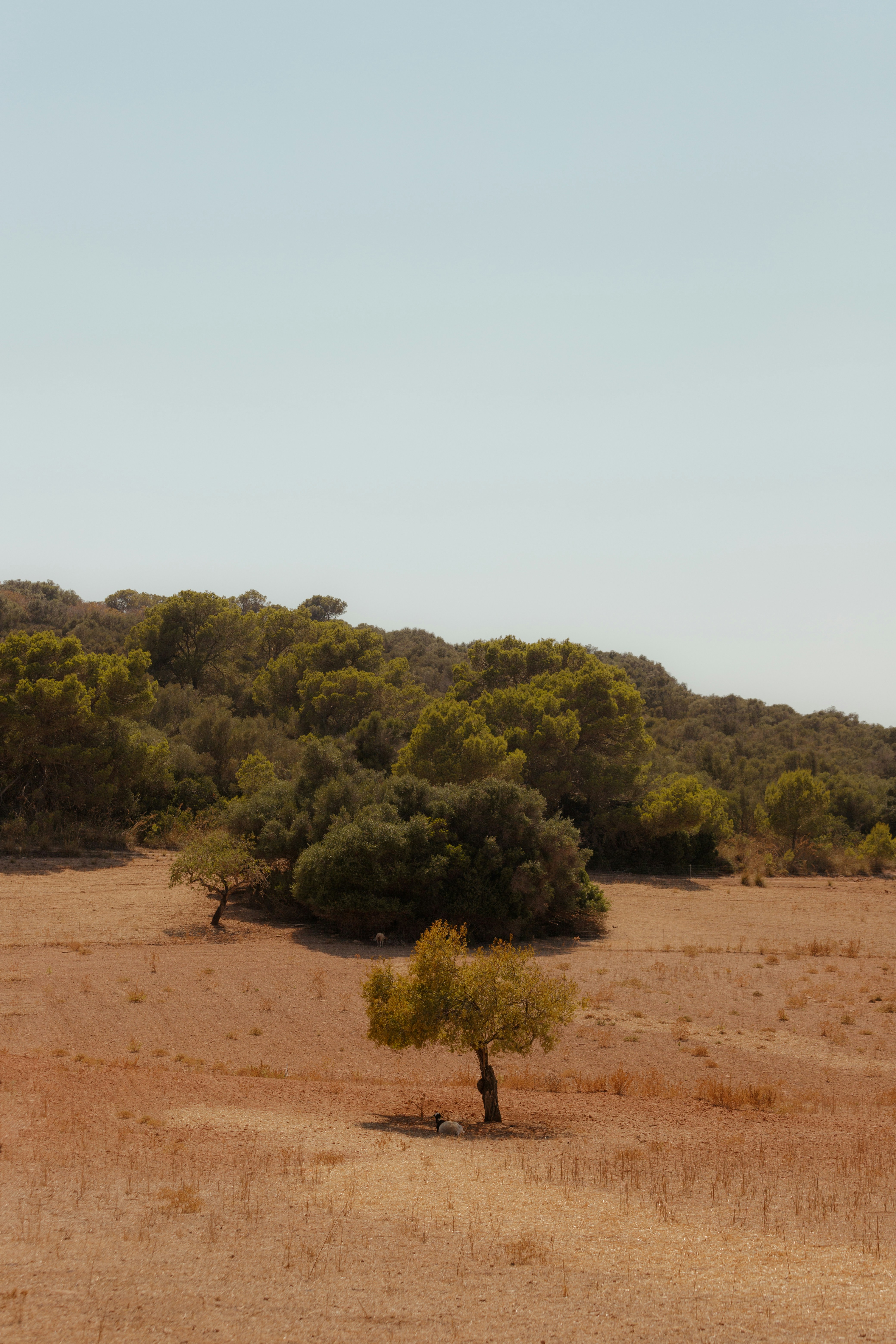 Photo by karlhornfeldt