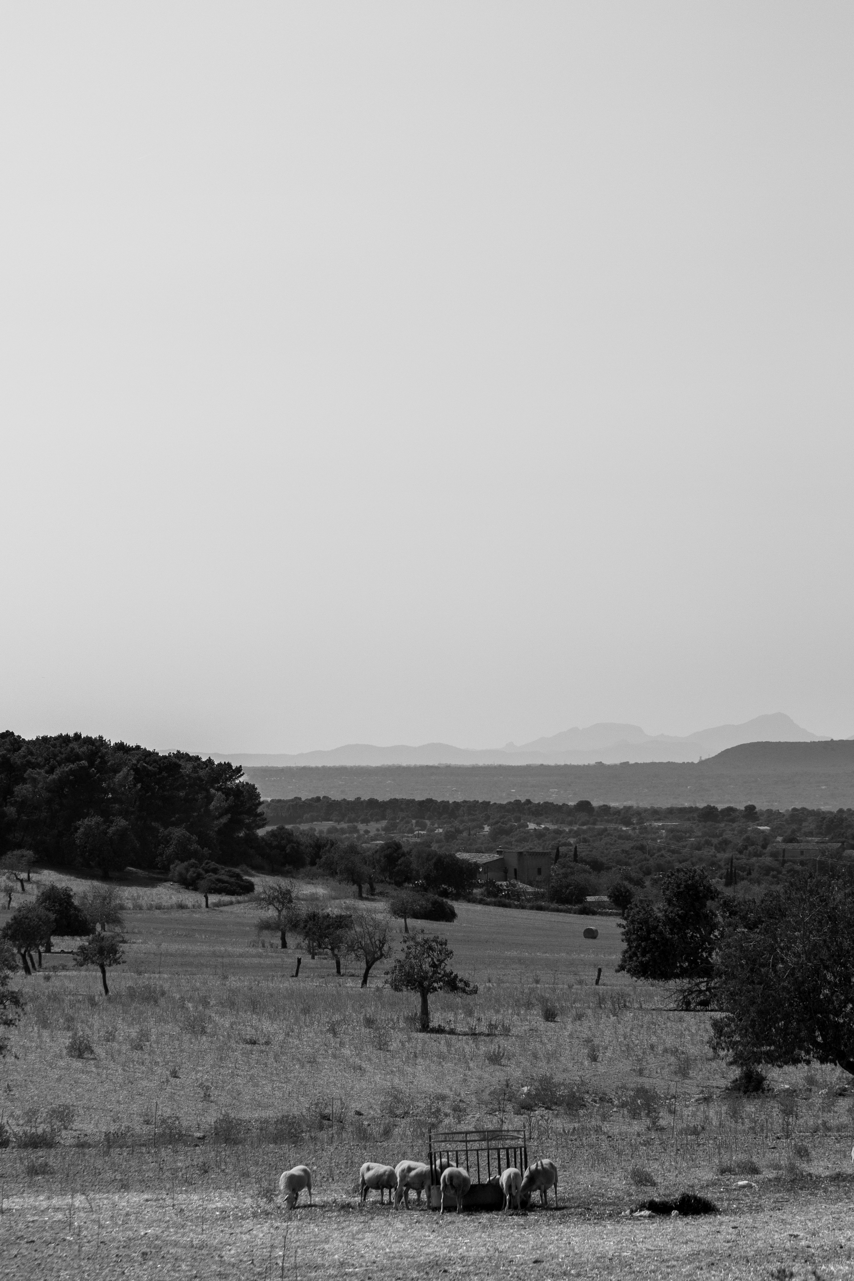 Photo by karlhornfeldt