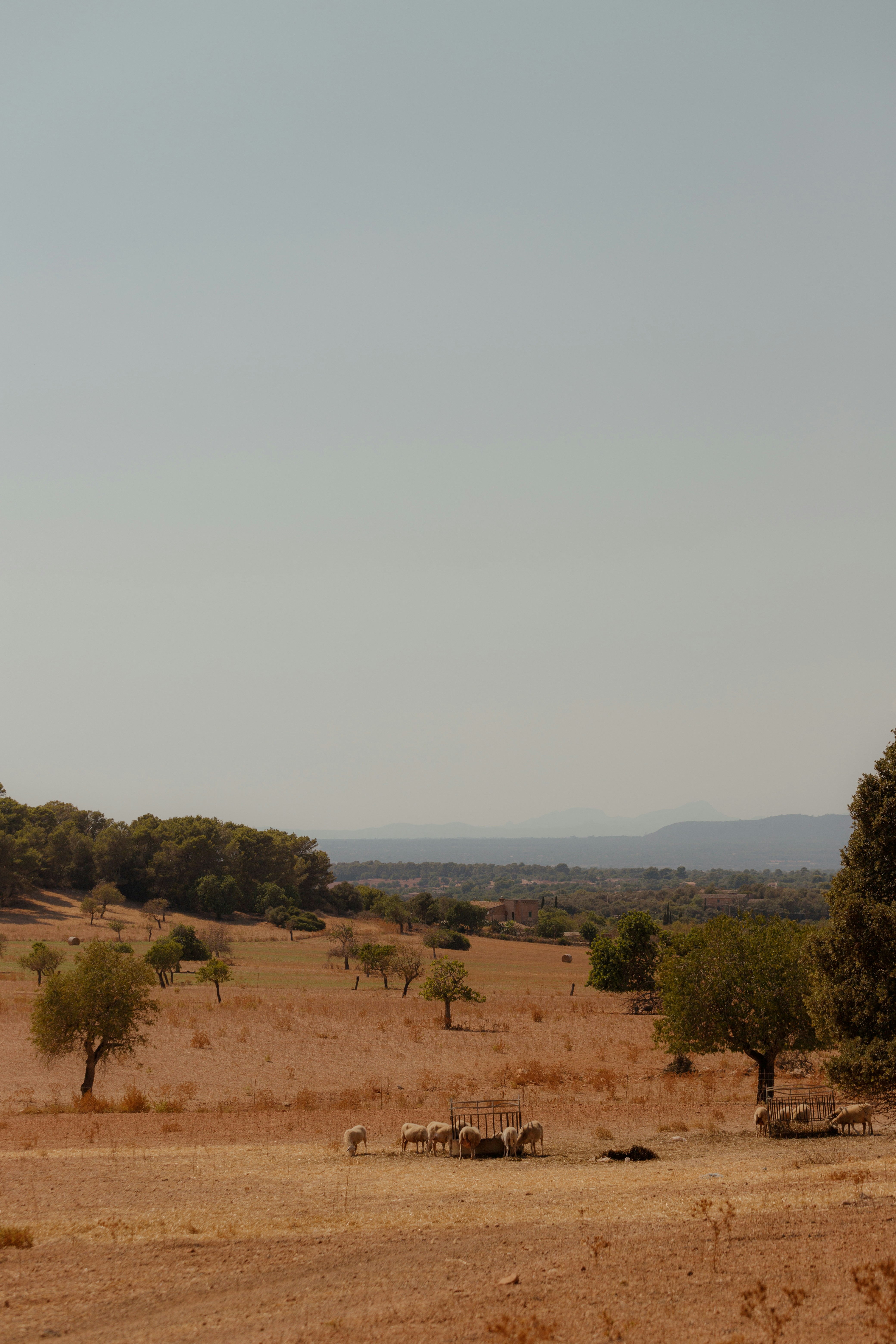 Nature produces the most astoundingly beautiful images: the swirling lava of a volcano, palm trees against a blue sky, snow-capped mountains towering above. Unsplash has magnificent , high-quality photos of all the delights that nature has to offer.