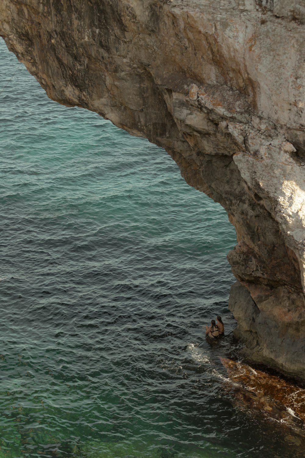 a person swimming in a body of water