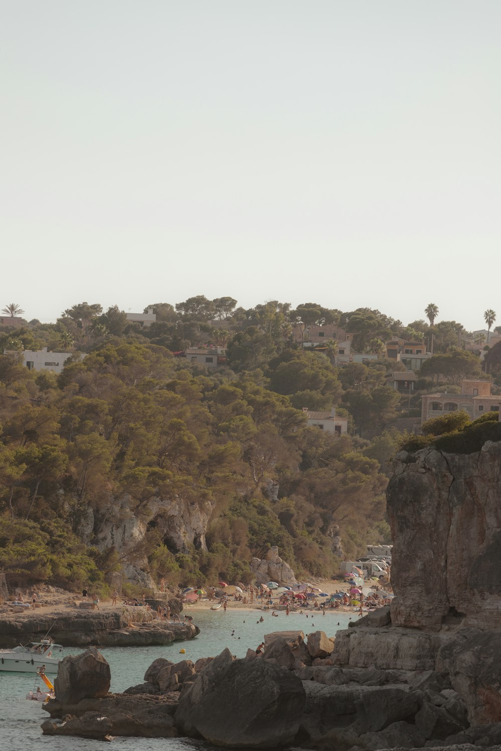 a beach with people and trees