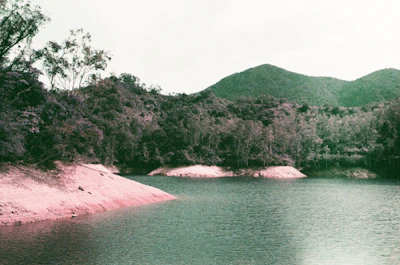 A serene lakeside hotel with calm waters reflecting the surrounding hills in Bhimtal.