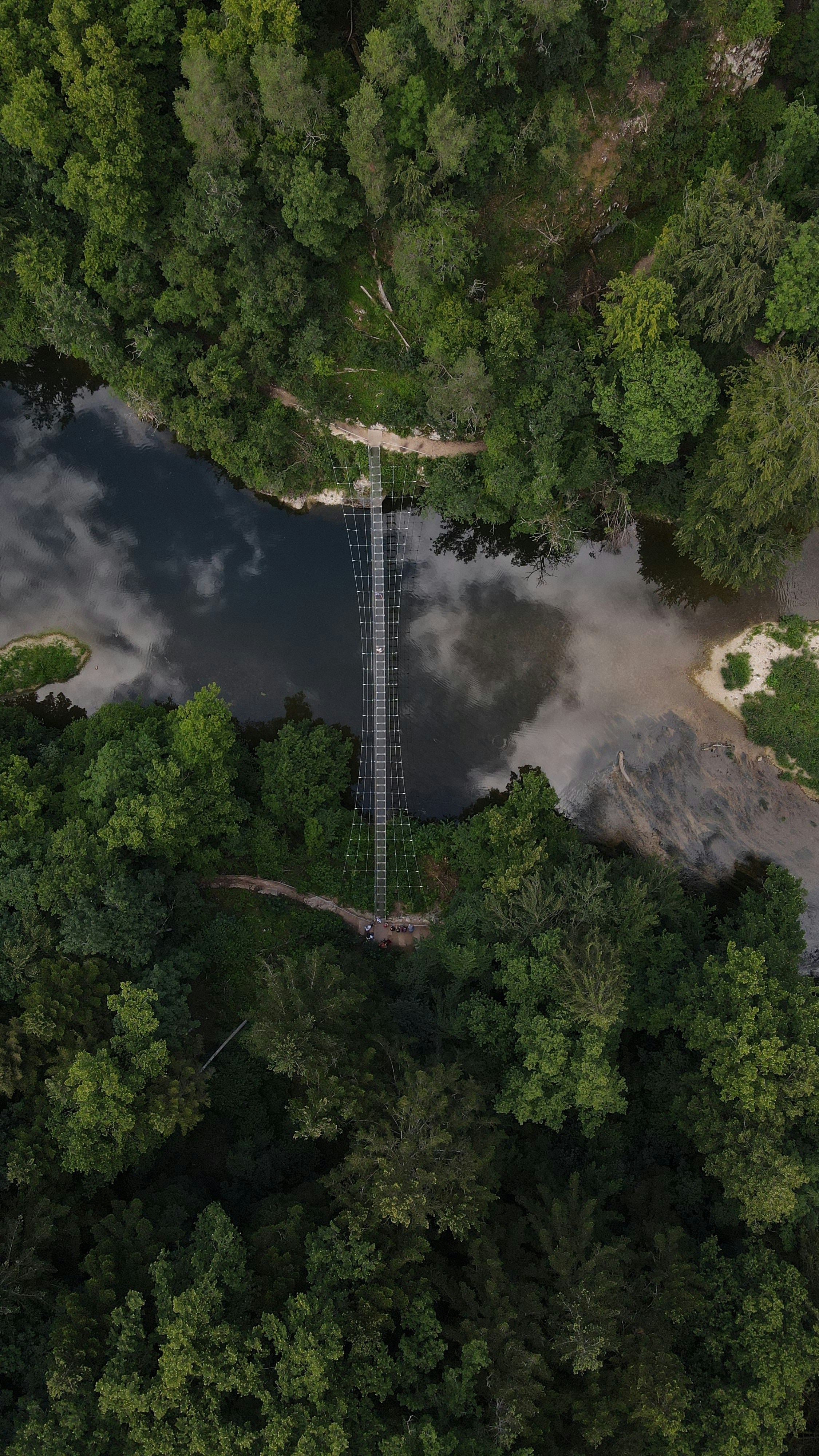 a tall tower surrounded by trees