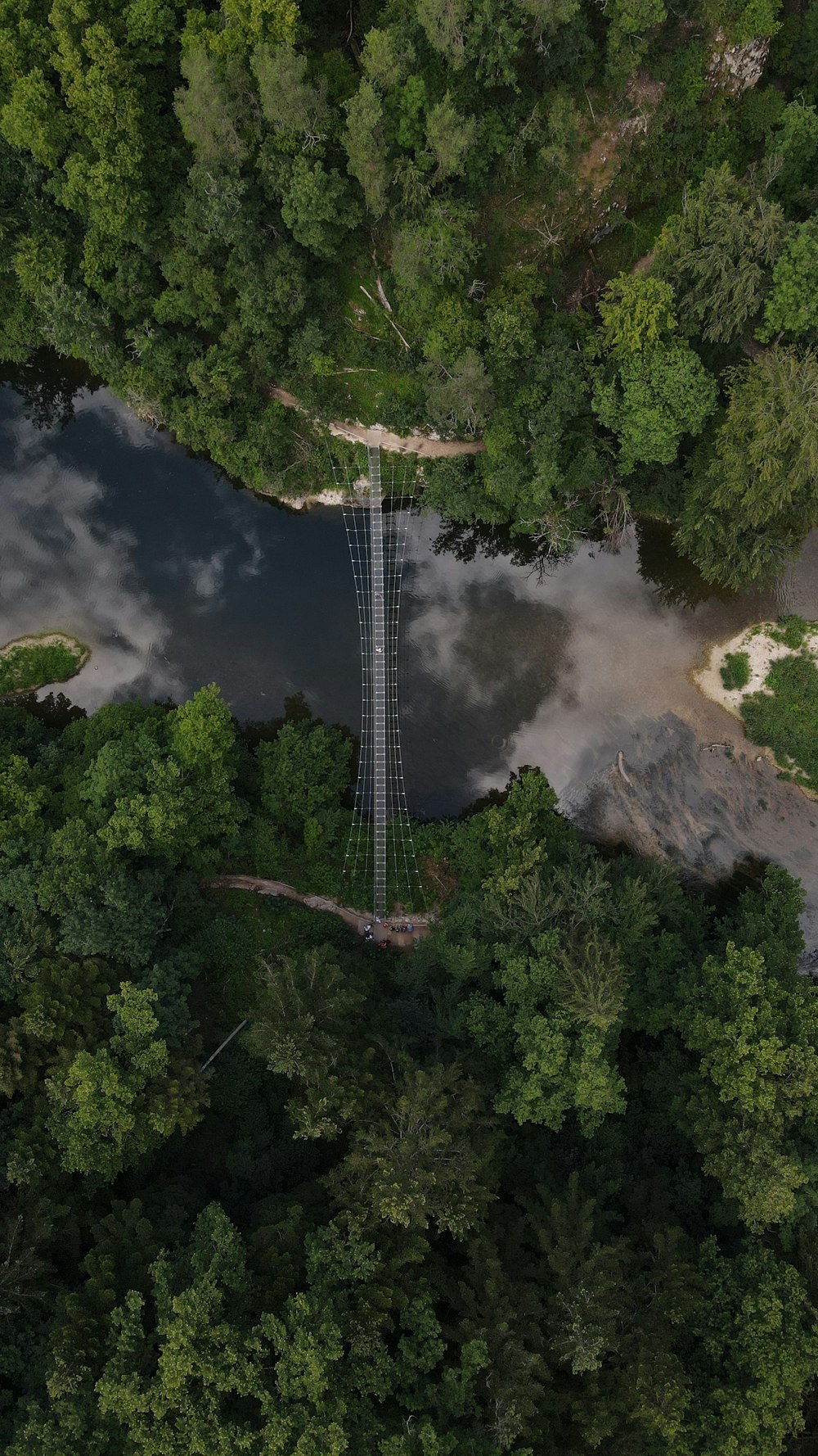 a tall tower surrounded by trees