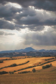 A vast agricultural landscape features golden, harvested fields with rows of crops stretching across rolling hills. In the distance, a mountain range looms under a dramatic sky filled with dark, heavy clouds interspersed with bright sunlight breaking through.