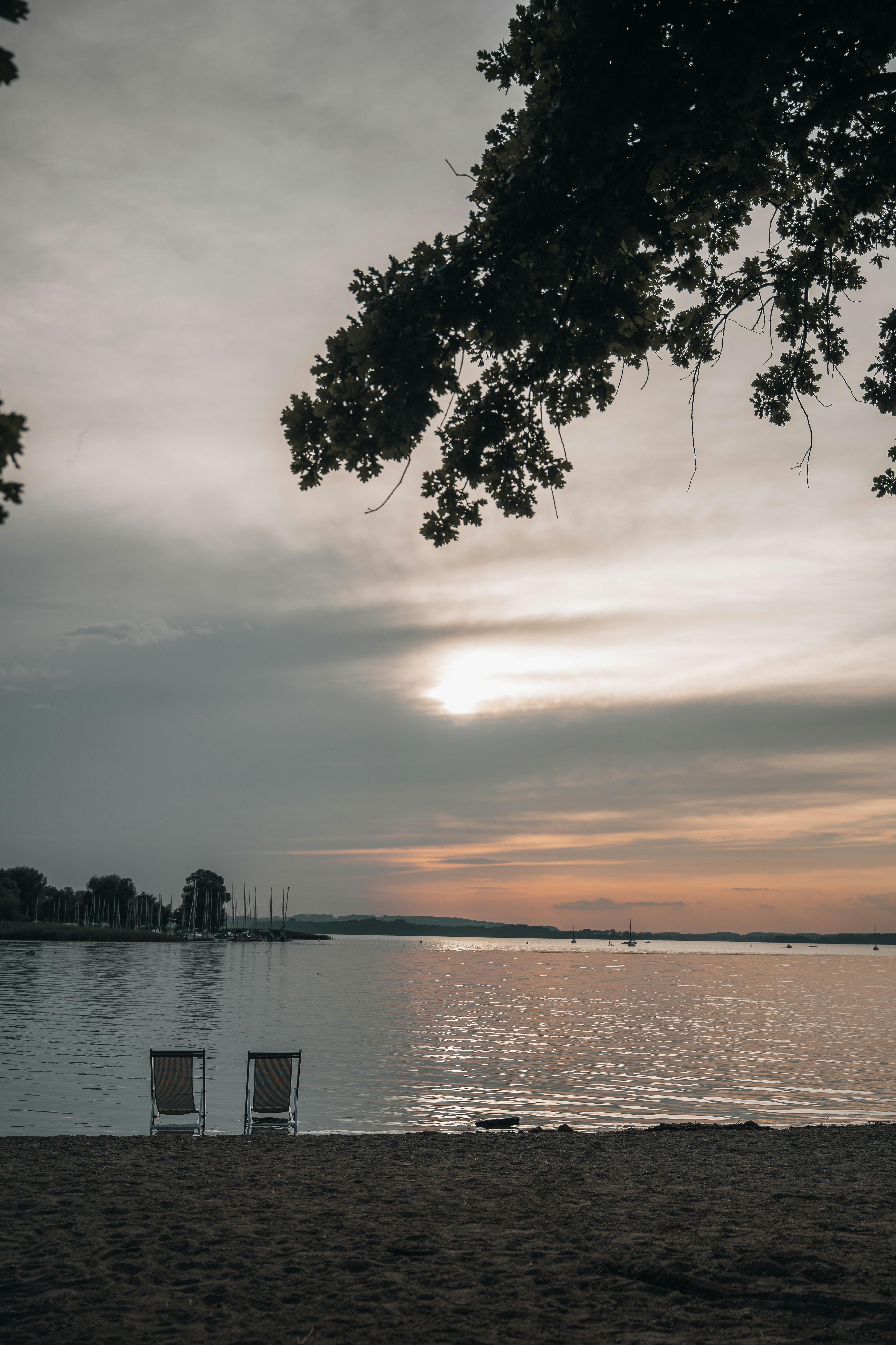 Photo by masoodaslami