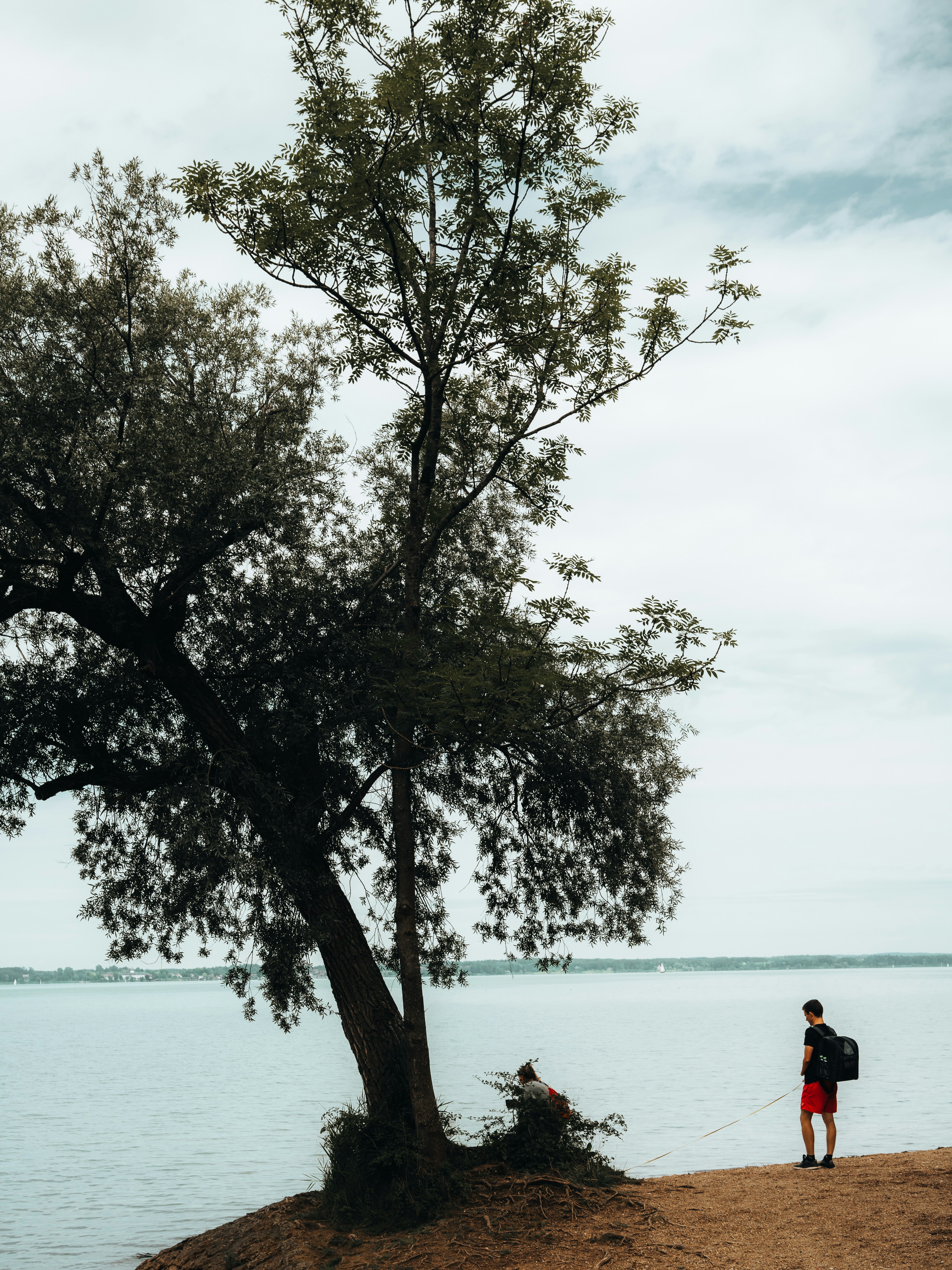 Photo by masoodaslami