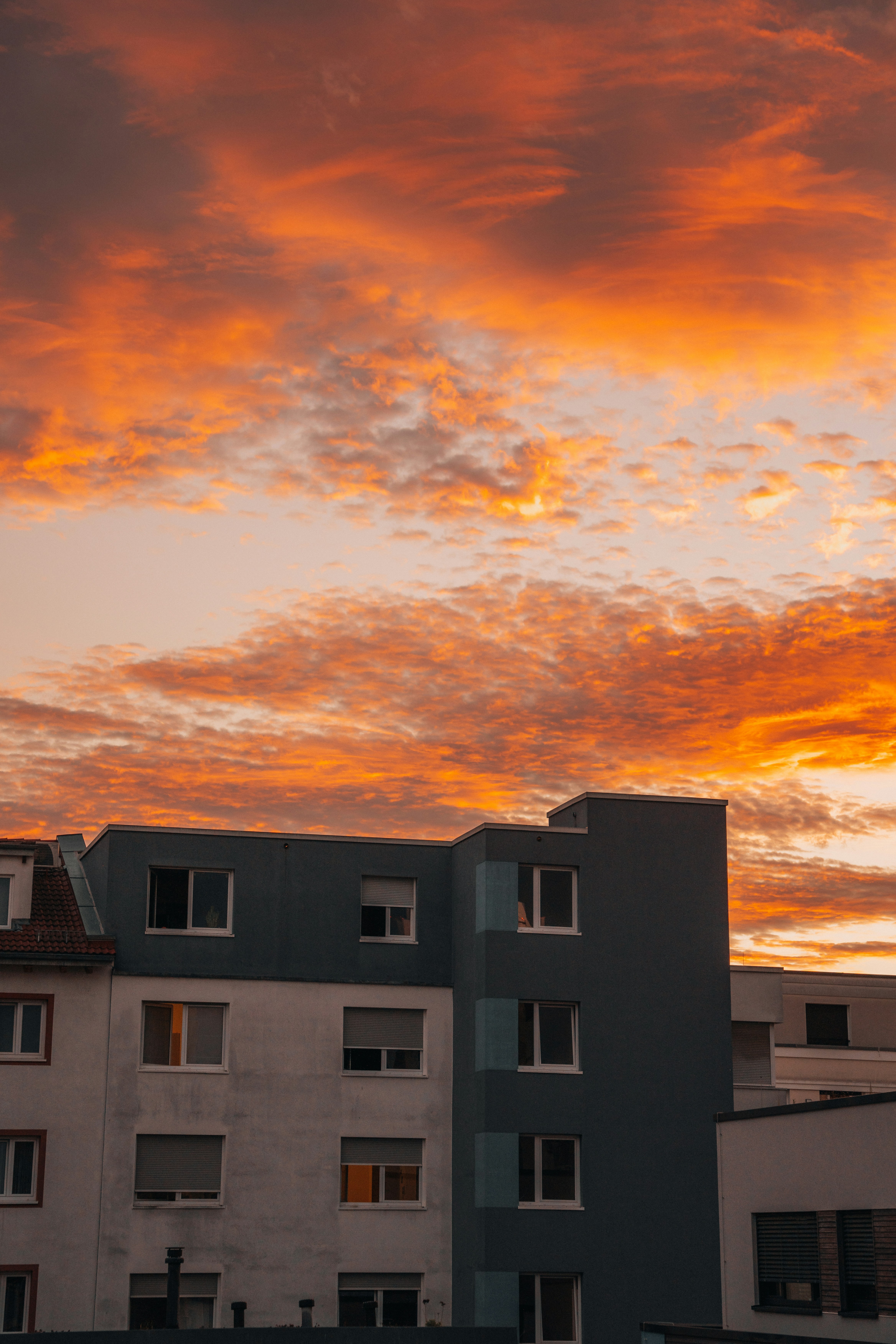 Photo by masoodaslami