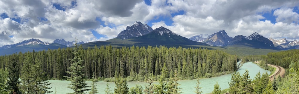 a landscape with trees and mountains in the back