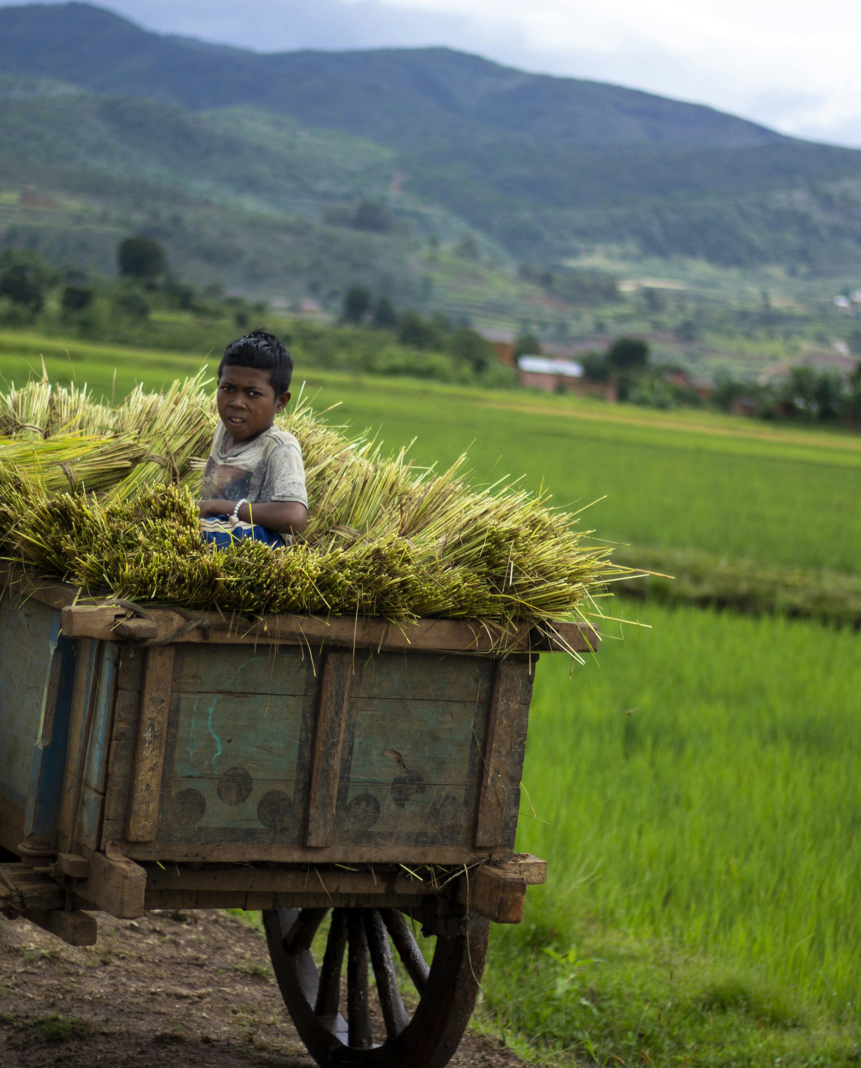 Port and container yard illustrating export logistics constraints