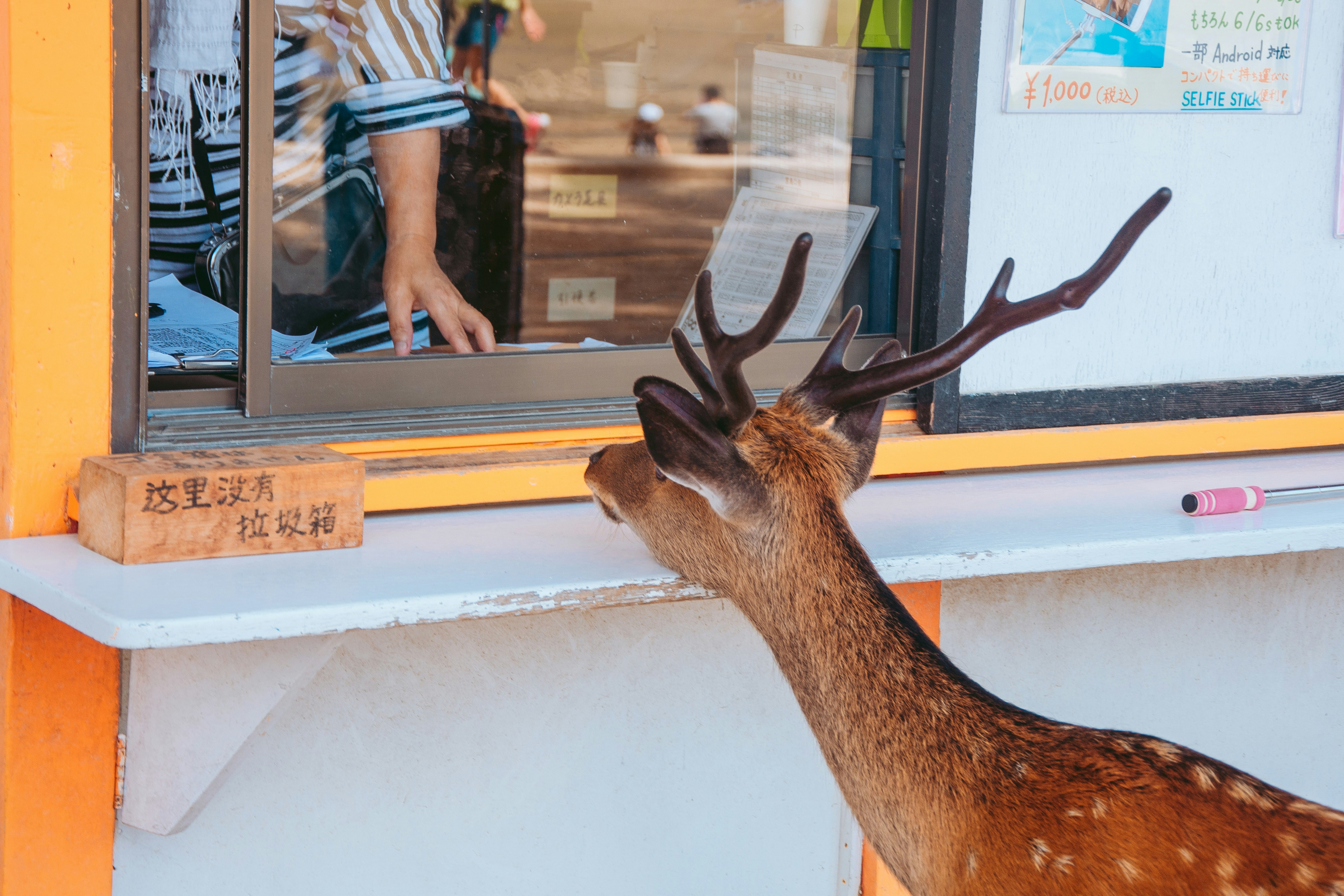 AI 정보 탐색기, 이젠 검색도 스마트하게!