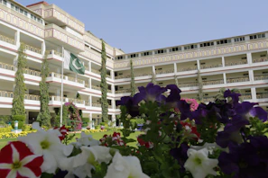 Luxury bungalow exterior adorned with Pakistan flag colors for Azadi offer