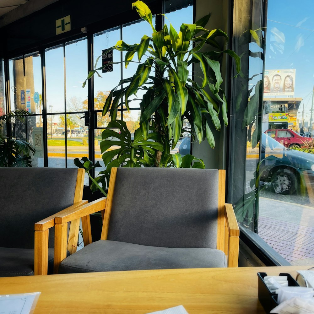 a table with chairs and a plant