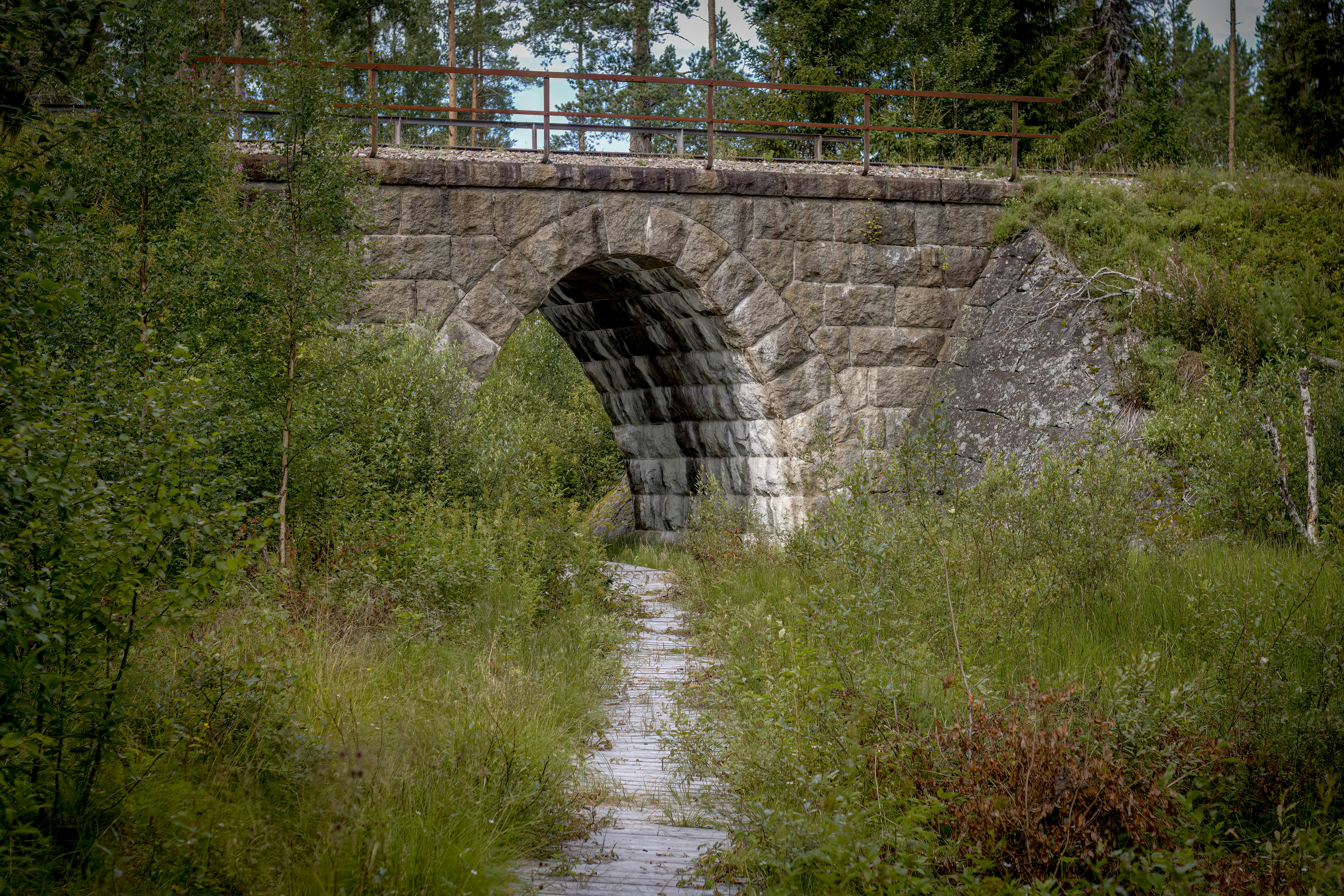 Photo by lassenystedtfoto