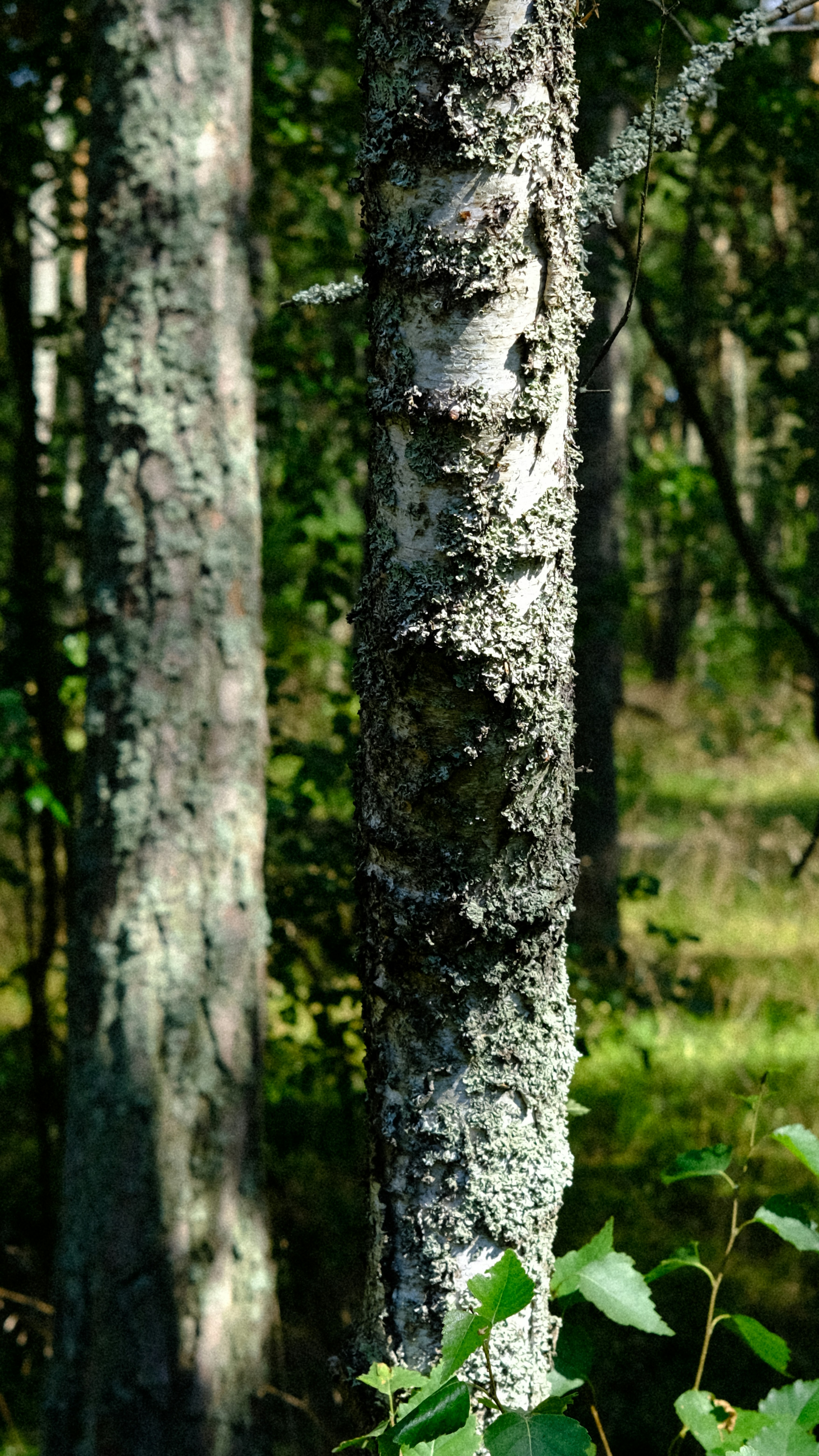 Photo by chris_designer