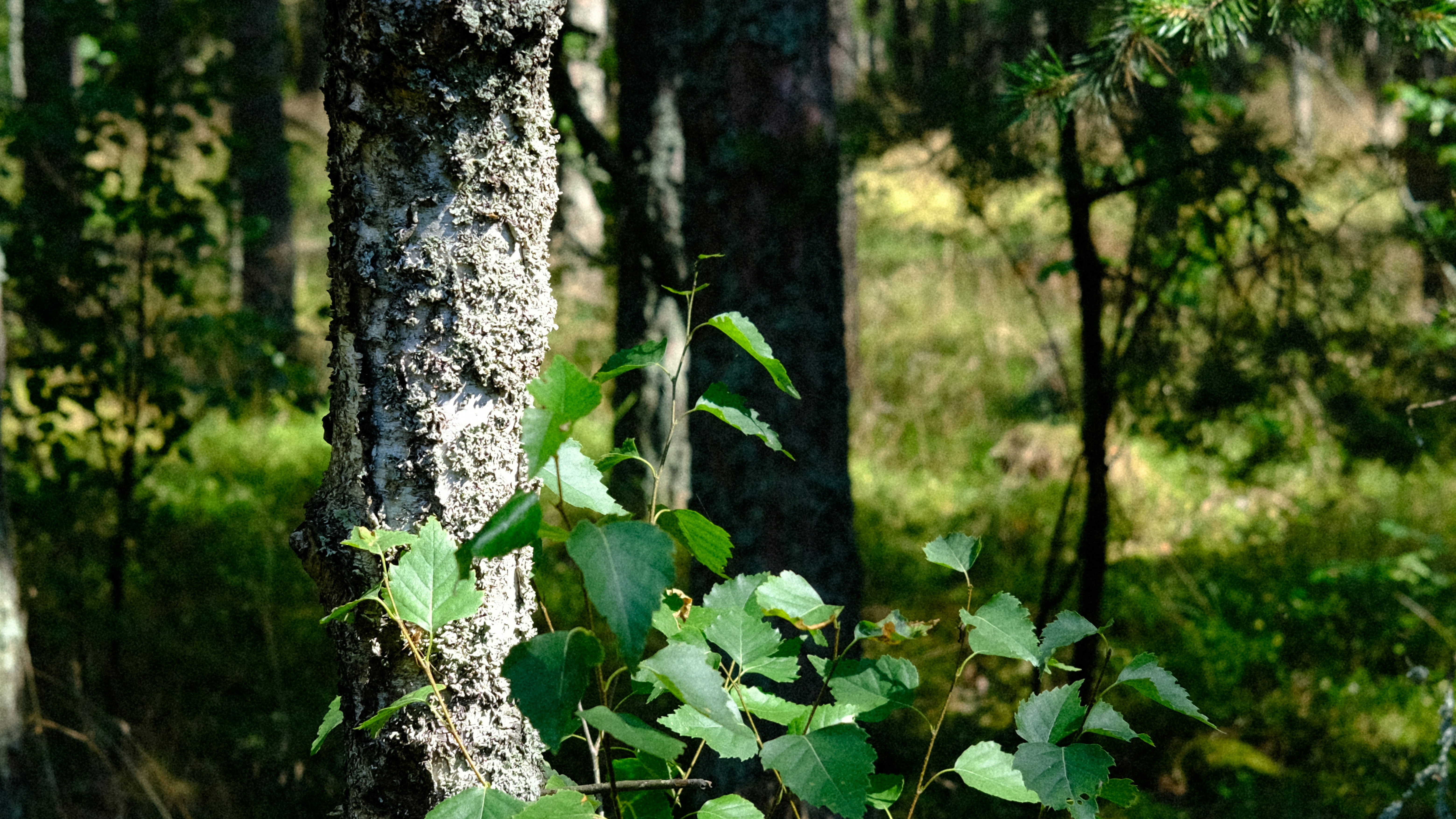 Photo by chris_designer