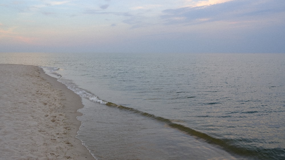 a beach with a body of water