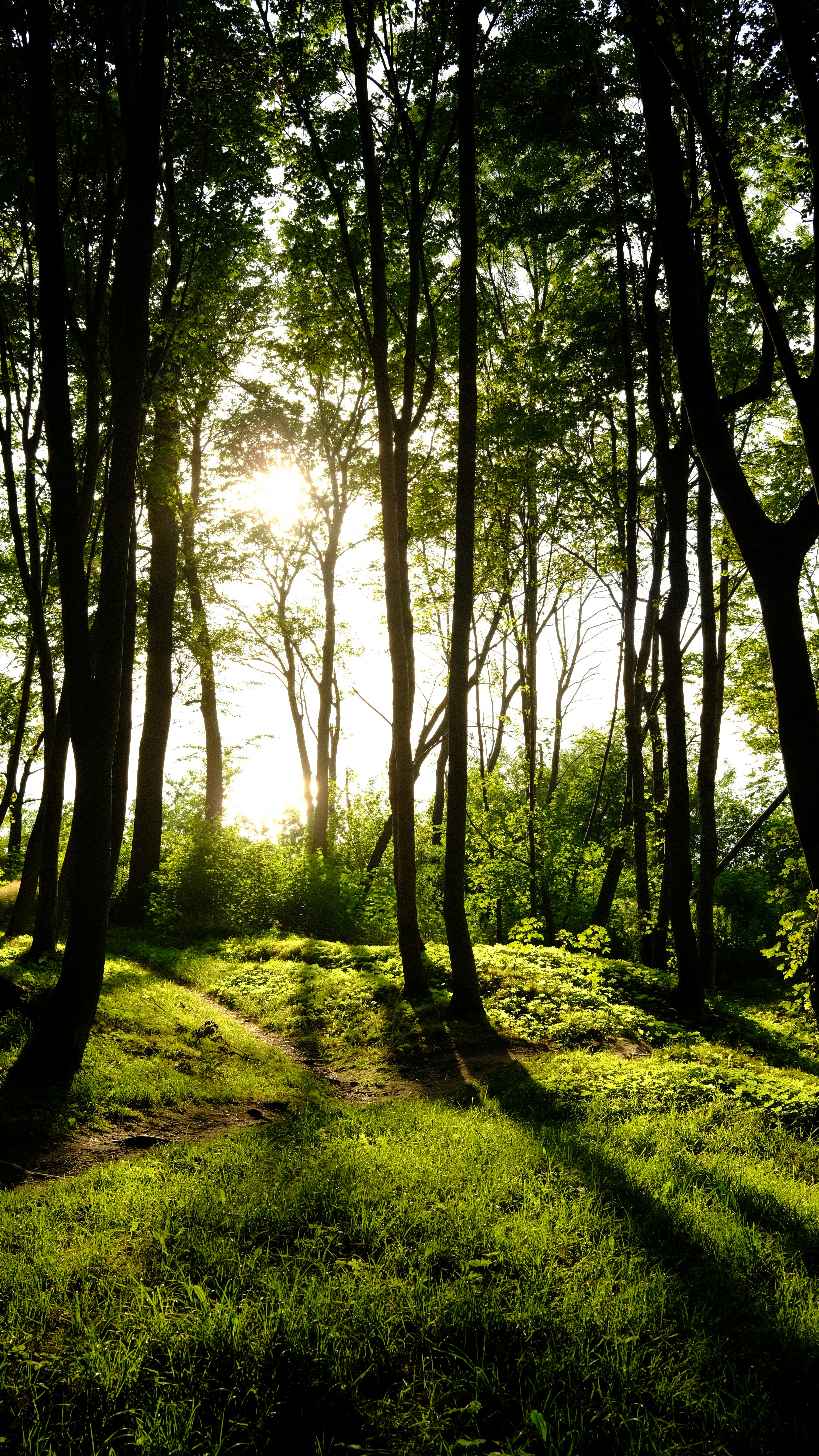 Photo by chris_designer