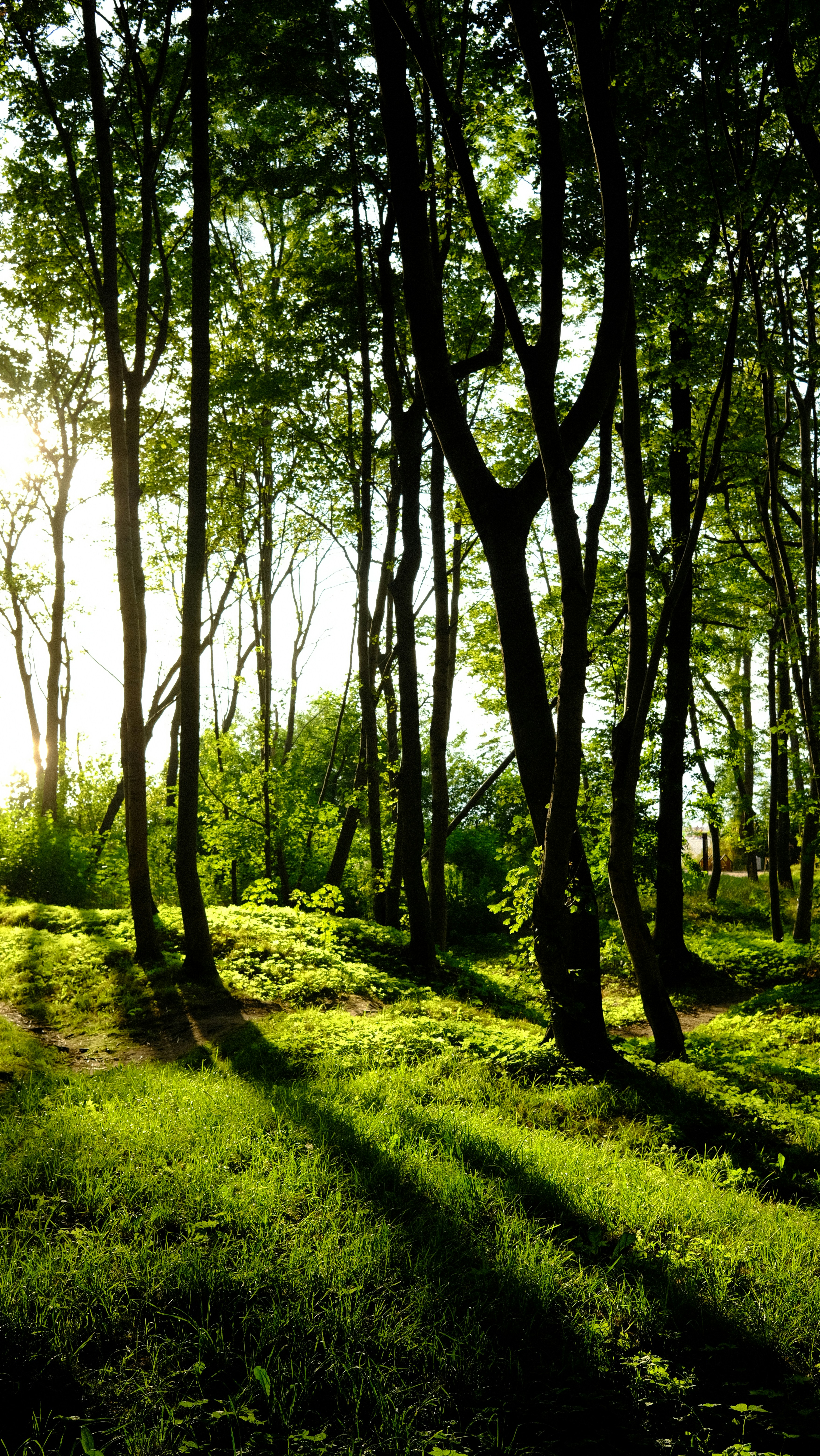 Photo by chris_designer